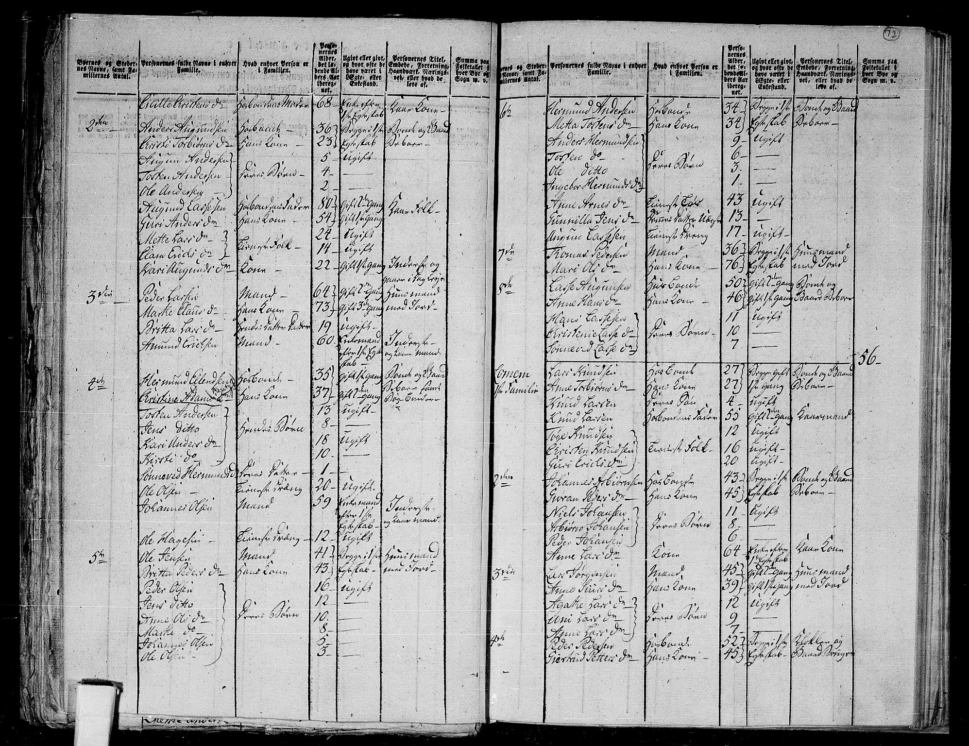 RA, 1801 census for 1425P Hafslo, 1801, p. 71b-72a