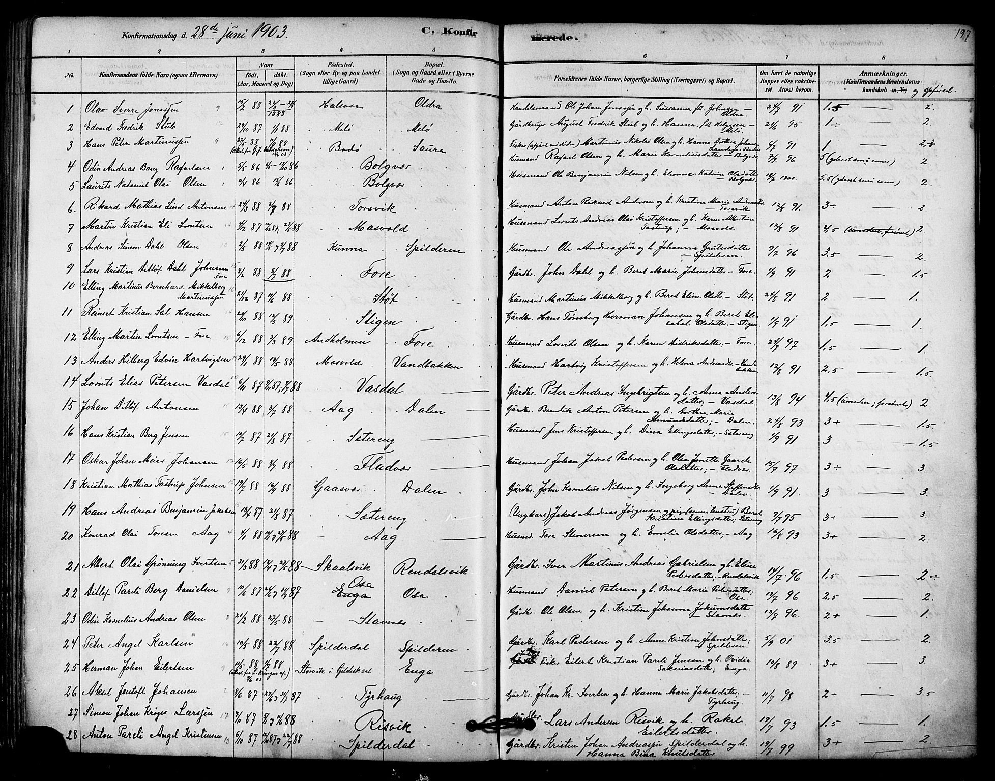 Ministerialprotokoller, klokkerbøker og fødselsregistre - Nordland, SAT/A-1459/843/L0626: Parish register (official) no. 843A01, 1878-1907, p. 197