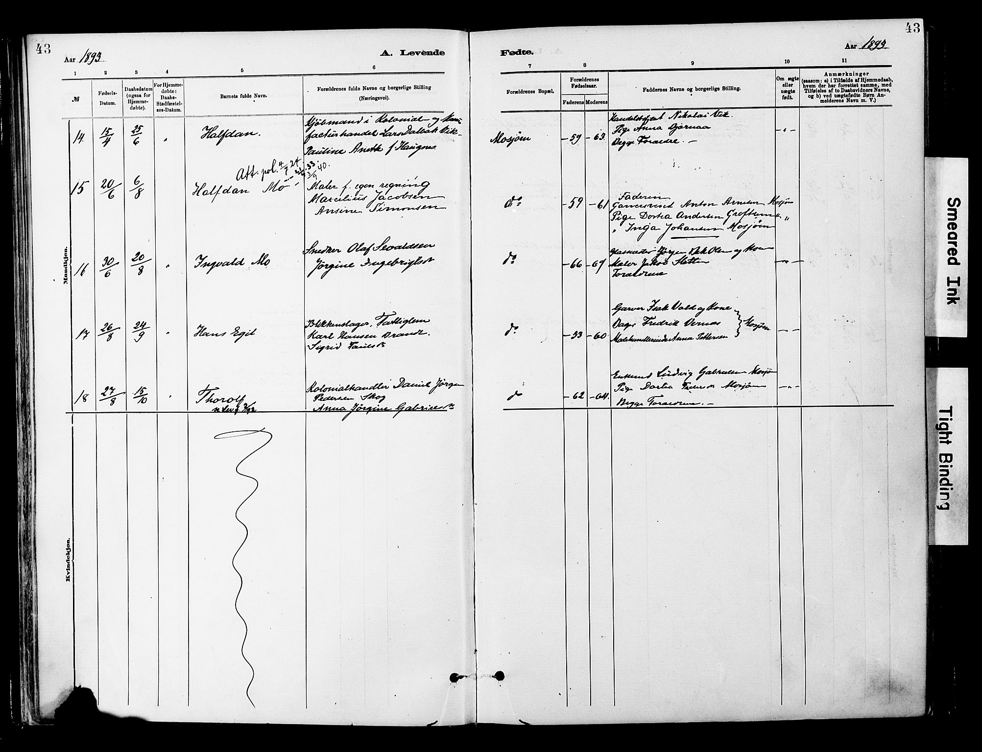 Ministerialprotokoller, klokkerbøker og fødselsregistre - Nordland, SAT/A-1459/820/L0296: Parish register (official) no. 820A17, 1880-1903, p. 43