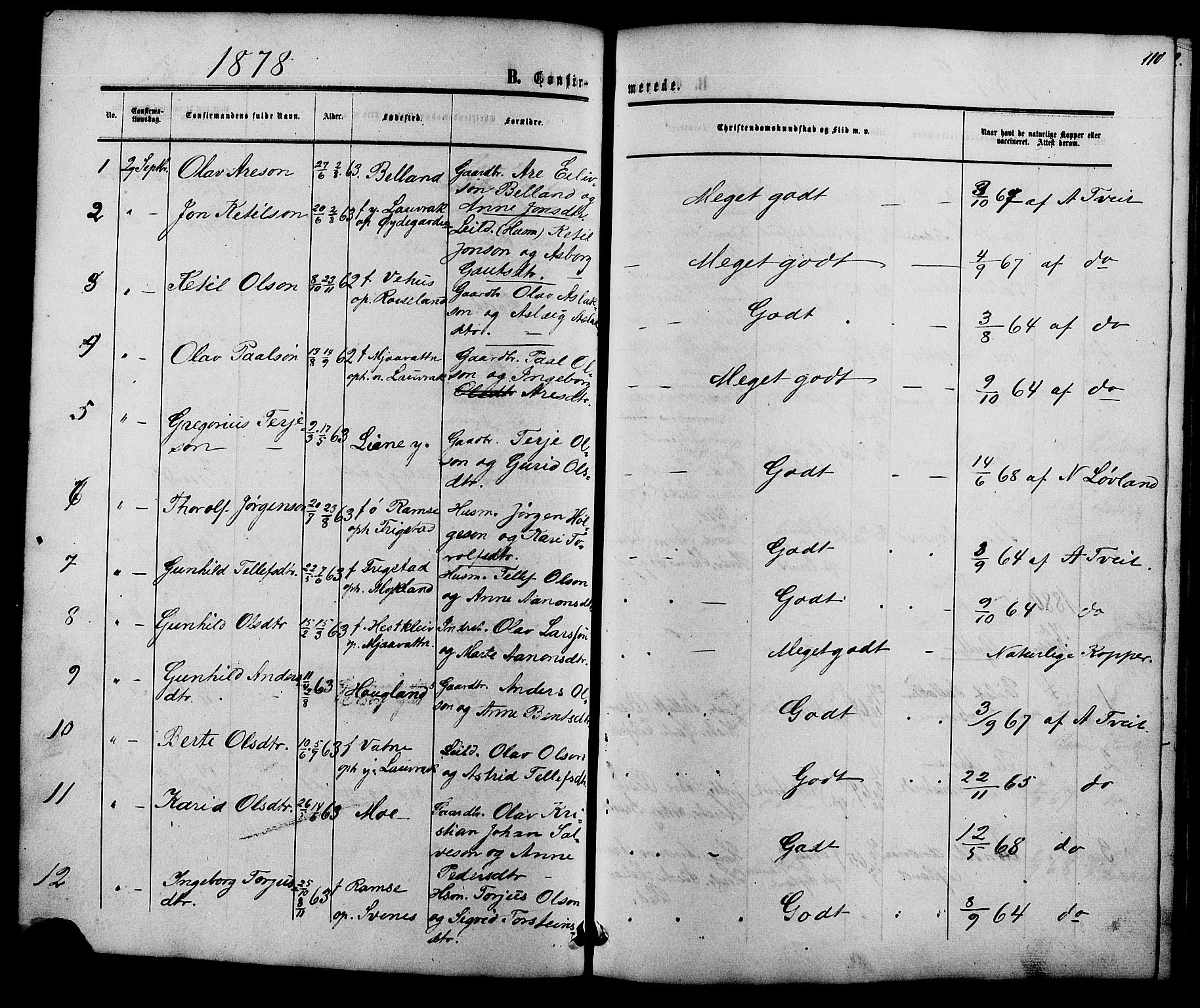 Herefoss sokneprestkontor, AV/SAK-1111-0019/F/Fb/Fbc/L0002: Parish register (copy) no. B 2, 1867-1886, p. 110