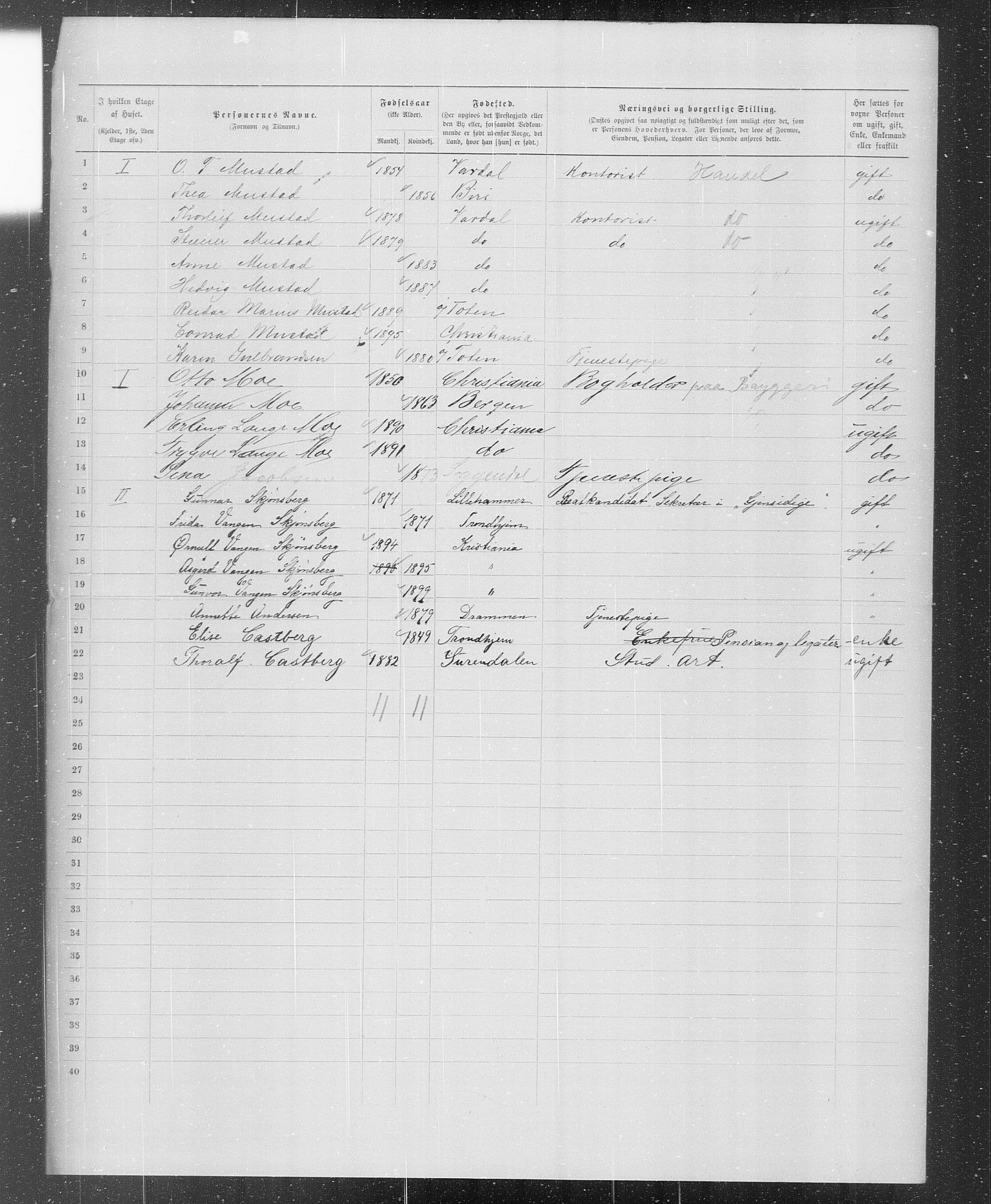 OBA, Municipal Census 1899 for Kristiania, 1899, p. 1007