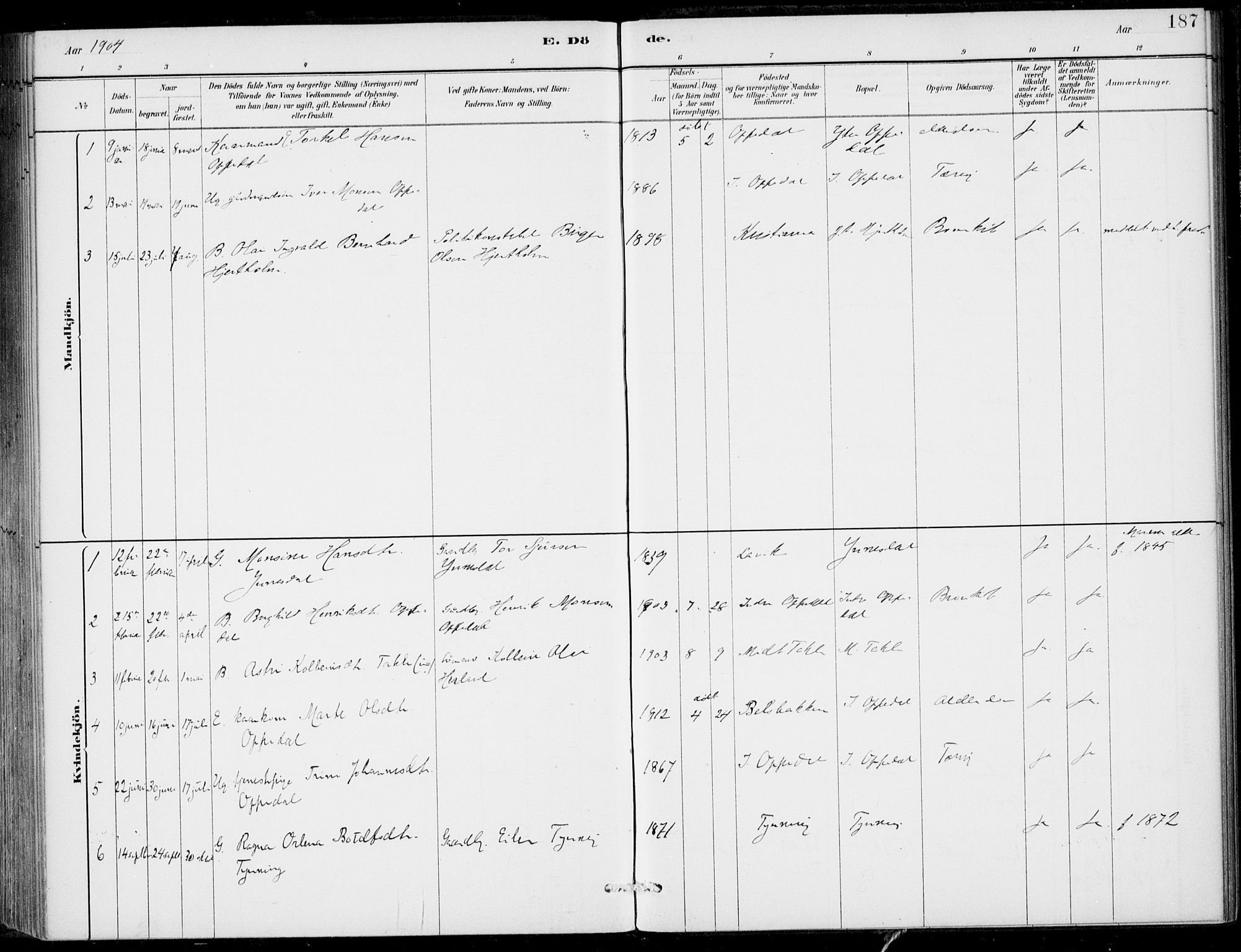 Gulen sokneprestembete, AV/SAB-A-80201/H/Haa/Haac/L0002: Parish register (official) no. C  2, 1882-1914, p. 187