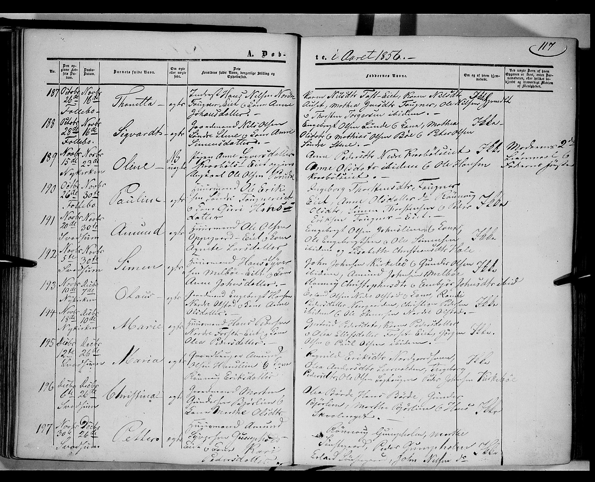 Gausdal prestekontor, SAH/PREST-090/H/Ha/Haa/L0008: Parish register (official) no. 8, 1850-1861, p. 117