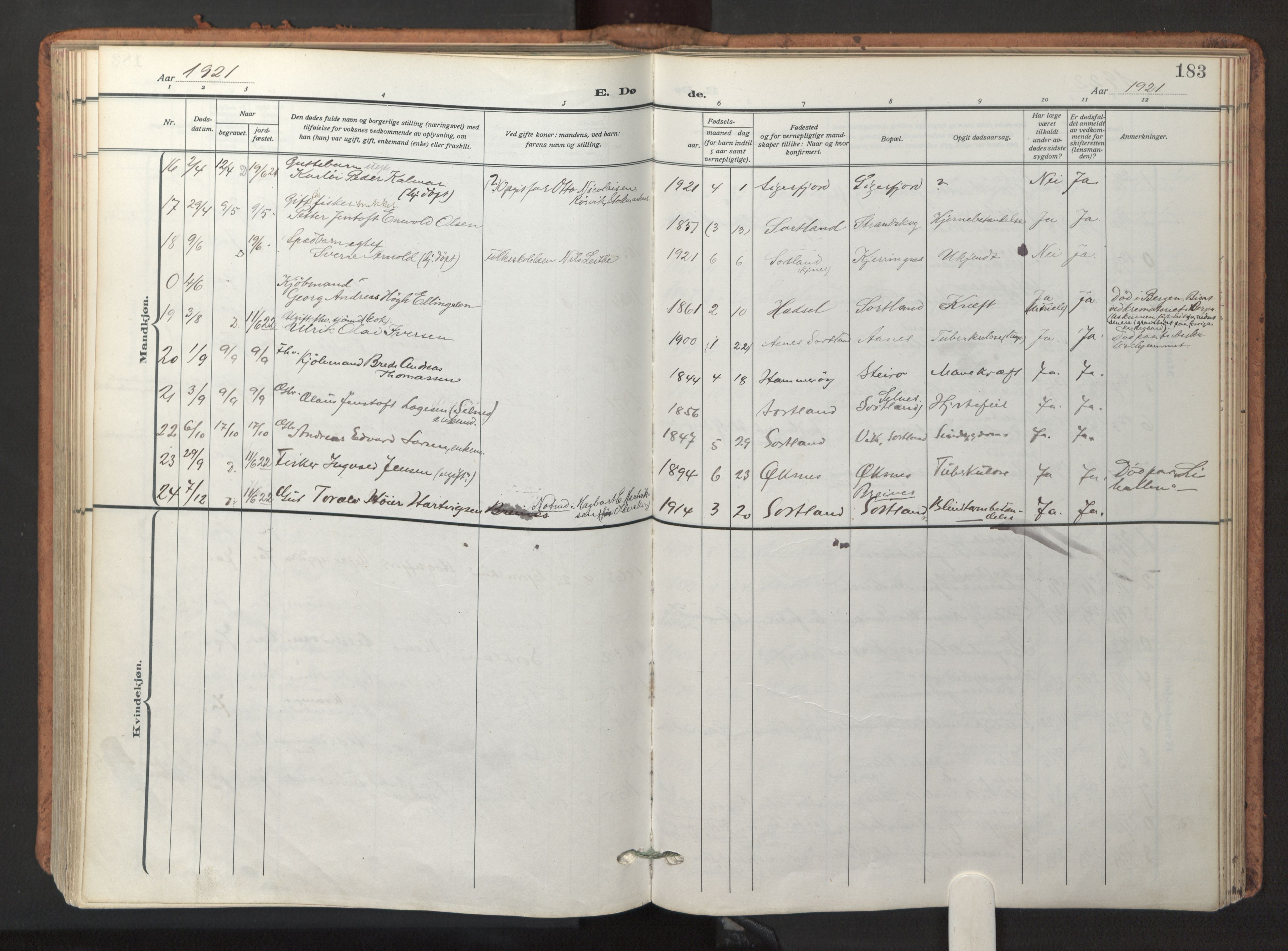 Ministerialprotokoller, klokkerbøker og fødselsregistre - Nordland, AV/SAT-A-1459/895/L1374: Parish register (official) no. 895A09, 1915-1925, p. 183