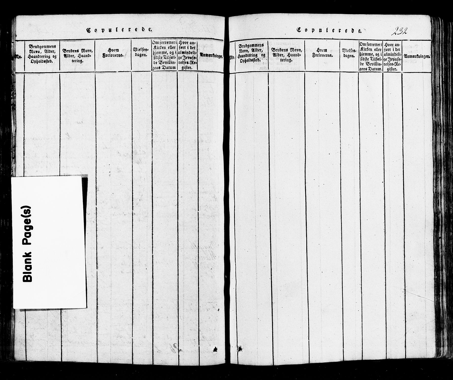 Hurum kirkebøker, AV/SAKO-A-229/G/Ga/L0001: Parish register (copy) no. I 1, 1816-1826, p. 232