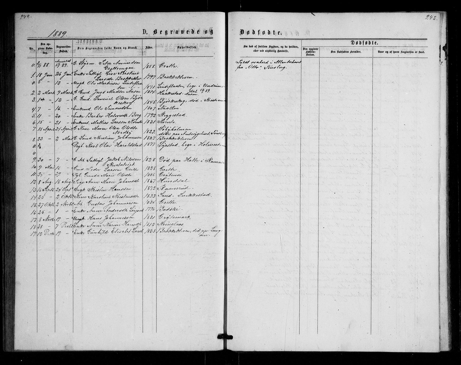Våle kirkebøker, SAKO/A-334/G/Ga/L0004a: Parish register (copy) no. I 4, 1874-1893, p. 242-243