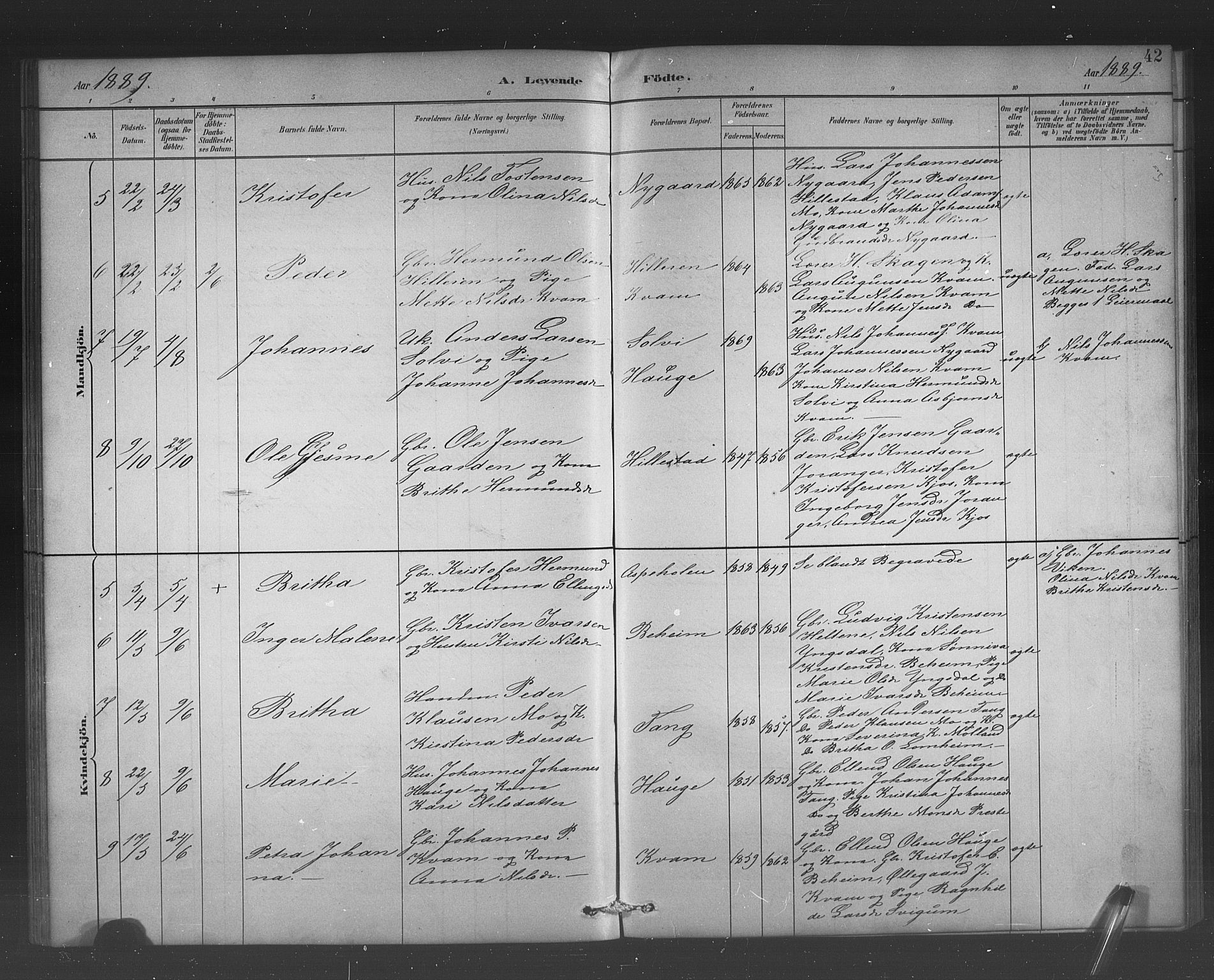 Hafslo sokneprestembete, AV/SAB-A-80301/H/Hab/Habb/L0001: Parish register (copy) no. B 1, 1882-1908, p. 42