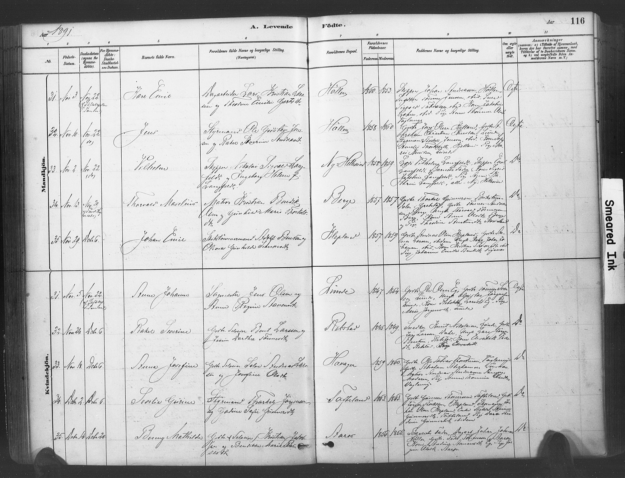 Søgne sokneprestkontor, SAK/1111-0037/F/Fa/Fab/L0012: Parish register (official) no. A 12, 1880-1891, p. 116