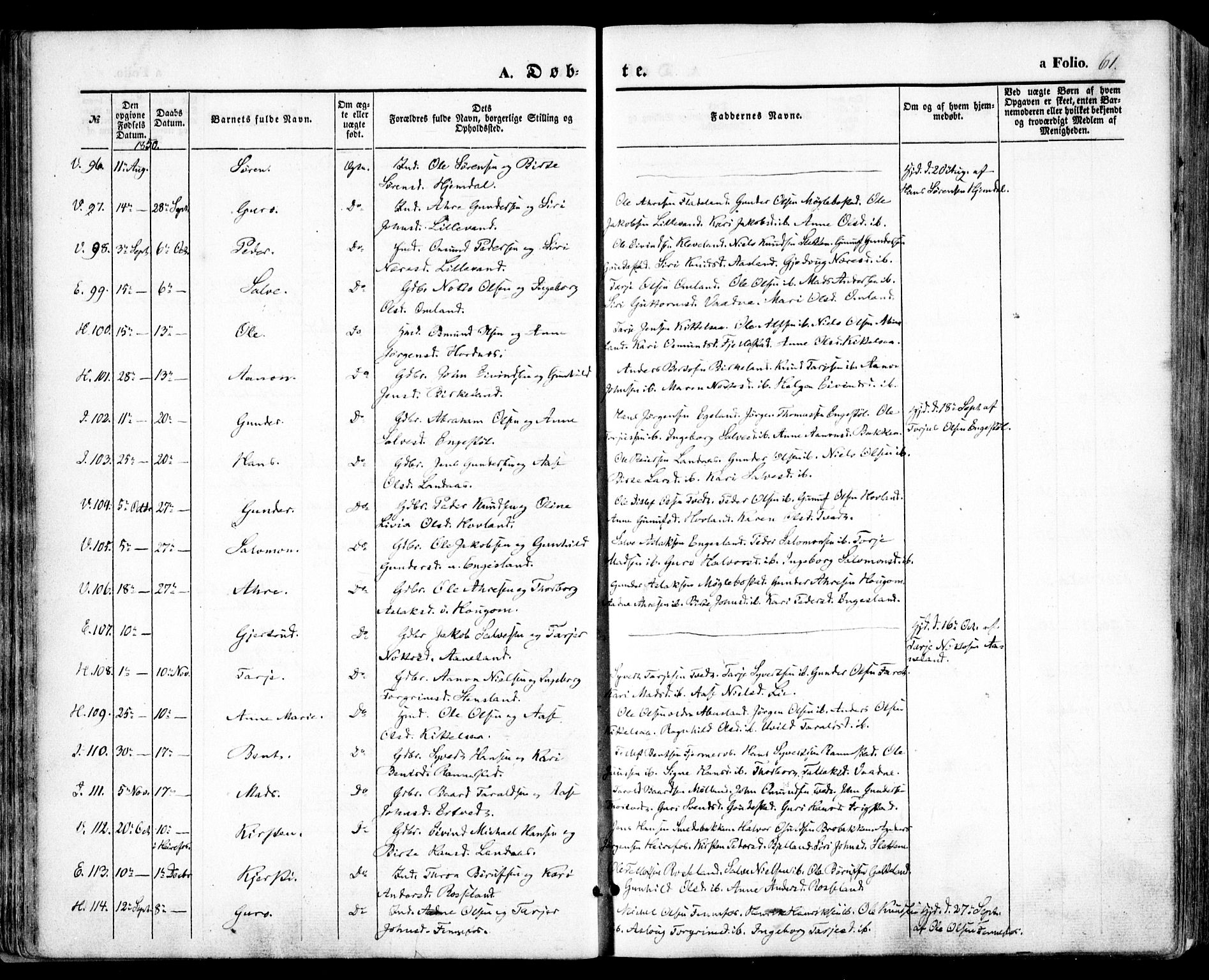 Evje sokneprestkontor, AV/SAK-1111-0008/F/Fa/Faa/L0005: Parish register (official) no. A 5, 1843-1865, p. 61