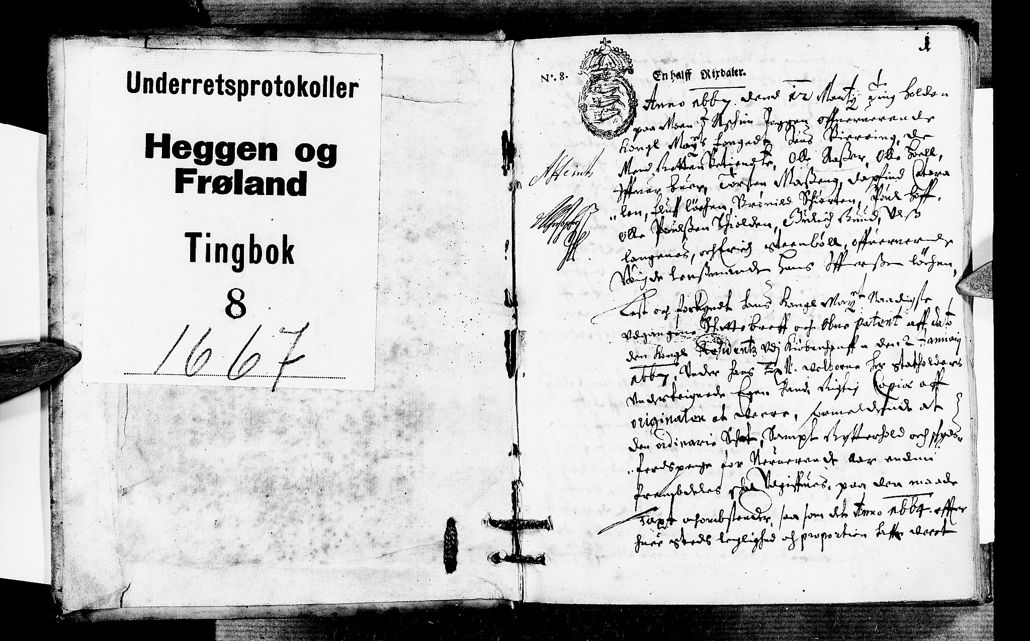 Heggen og Frøland sorenskriveri I, AV/SAO-A-11556/F/Fb/L0008: Tingbok, 1667, p. 0b-1a