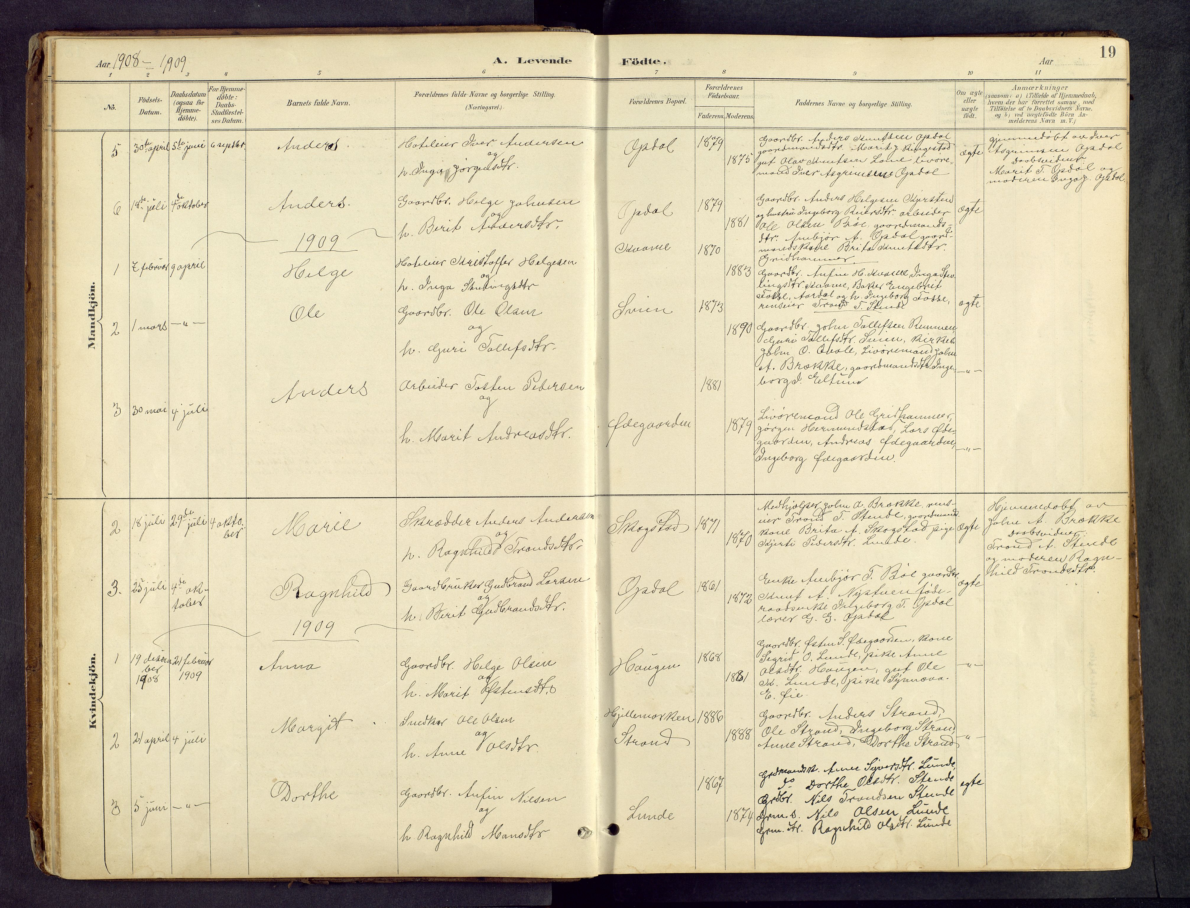Vang prestekontor, Valdres, SAH/PREST-140/H/Hb/L0005: Parish register (copy) no. 5, 1889-1945, p. 19
