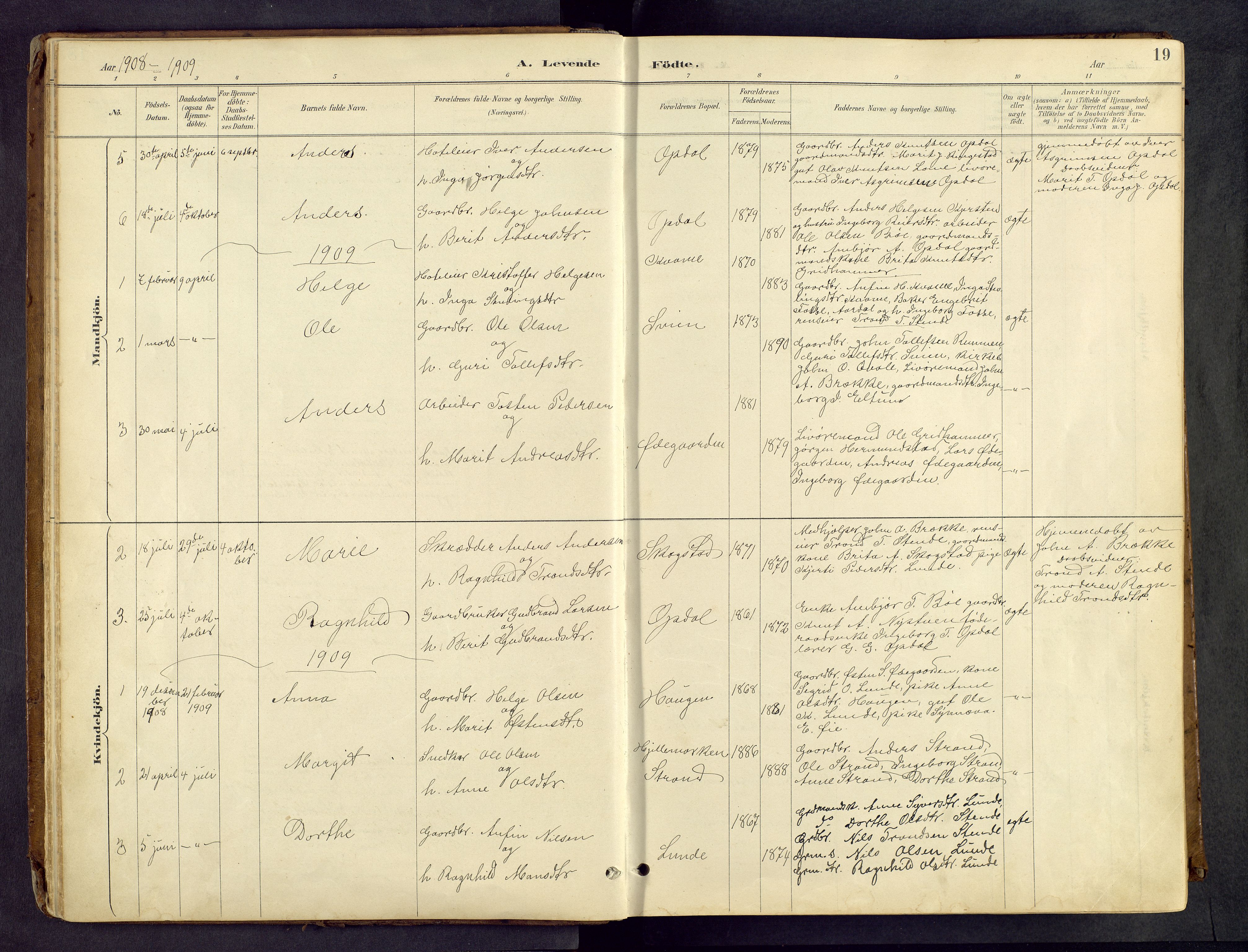 Vang prestekontor, Valdres, AV/SAH-PREST-140/H/Hb/L0005: Parish register (copy) no. 5, 1889-1945, p. 19