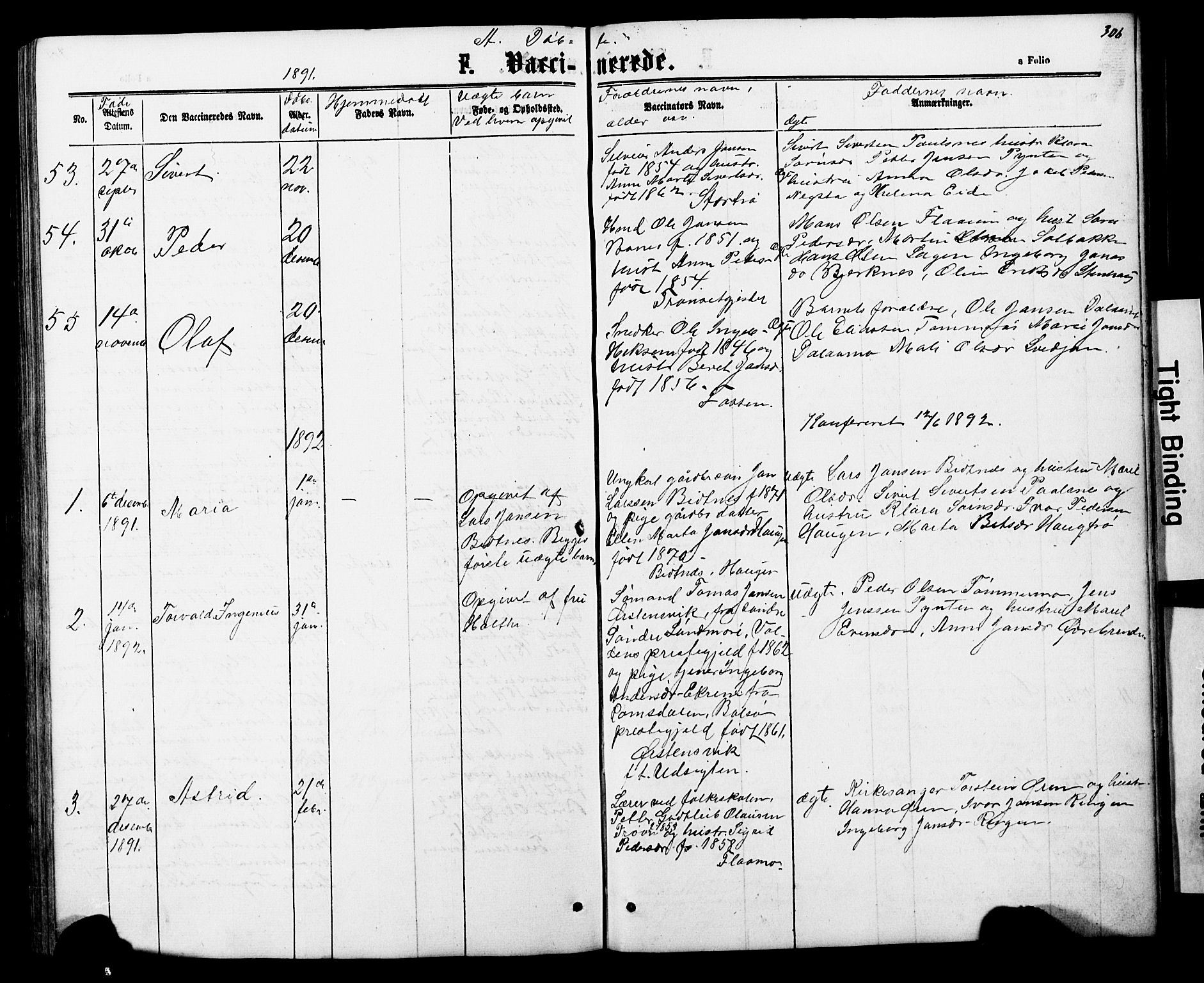Ministerialprotokoller, klokkerbøker og fødselsregistre - Nord-Trøndelag, SAT/A-1458/706/L0049: Parish register (copy) no. 706C01, 1864-1895, p. 306
