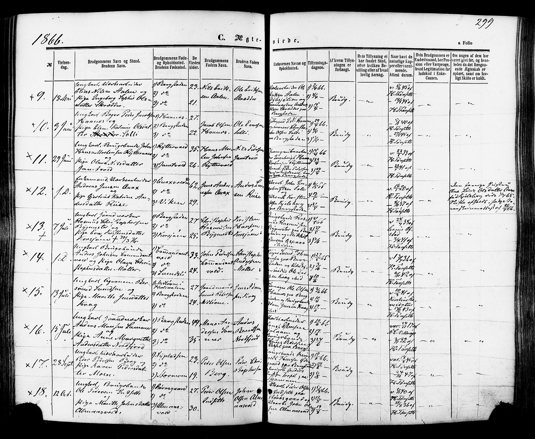 Ministerialprotokoller, klokkerbøker og fødselsregistre - Sør-Trøndelag, AV/SAT-A-1456/681/L0932: Parish register (official) no. 681A10, 1860-1878, p. 299