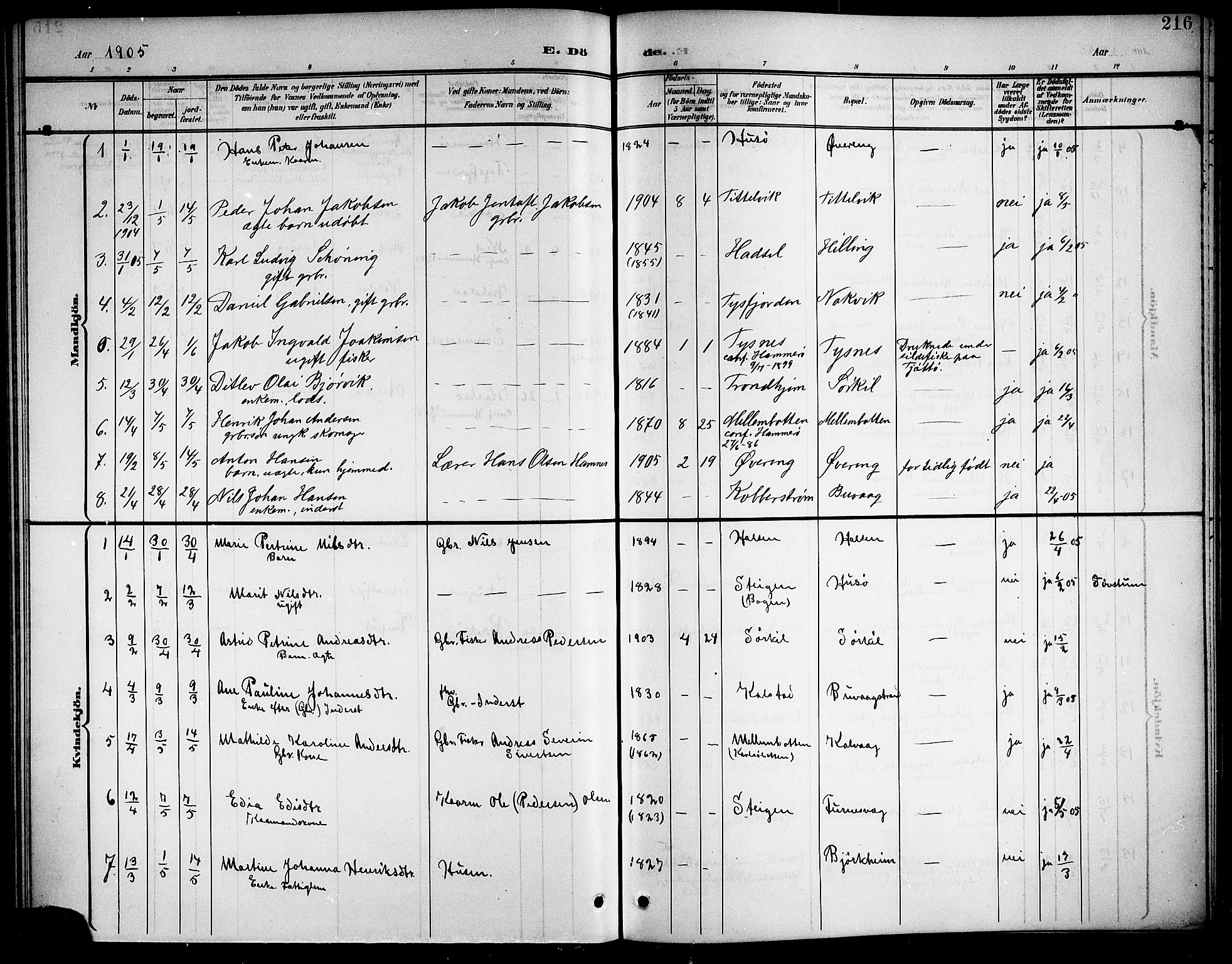 Ministerialprotokoller, klokkerbøker og fødselsregistre - Nordland, SAT/A-1459/859/L0860: Parish register (copy) no. 859C06, 1899-1909, p. 216