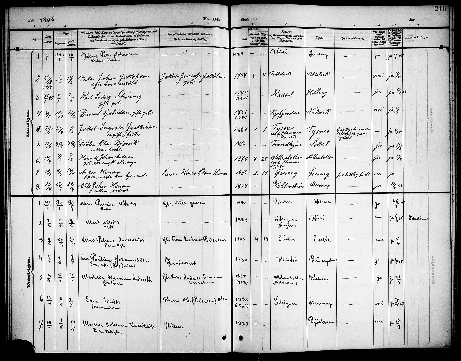 Ministerialprotokoller, klokkerbøker og fødselsregistre - Nordland, AV/SAT-A-1459/859/L0860: Parish register (copy) no. 859C06, 1899-1909, p. 216