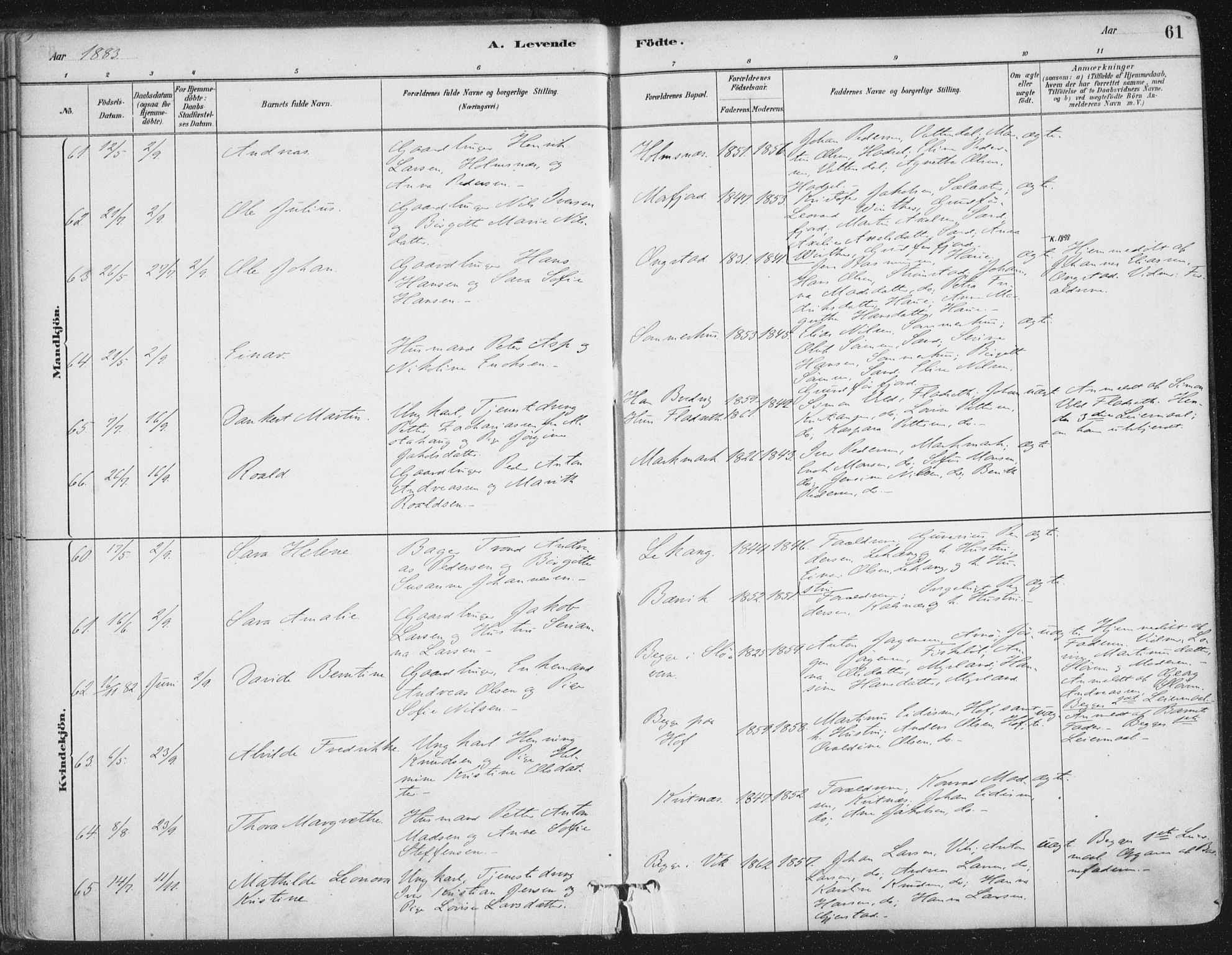 Ministerialprotokoller, klokkerbøker og fødselsregistre - Nordland, SAT/A-1459/888/L1244: Parish register (official) no. 888A10, 1880-1890, p. 61