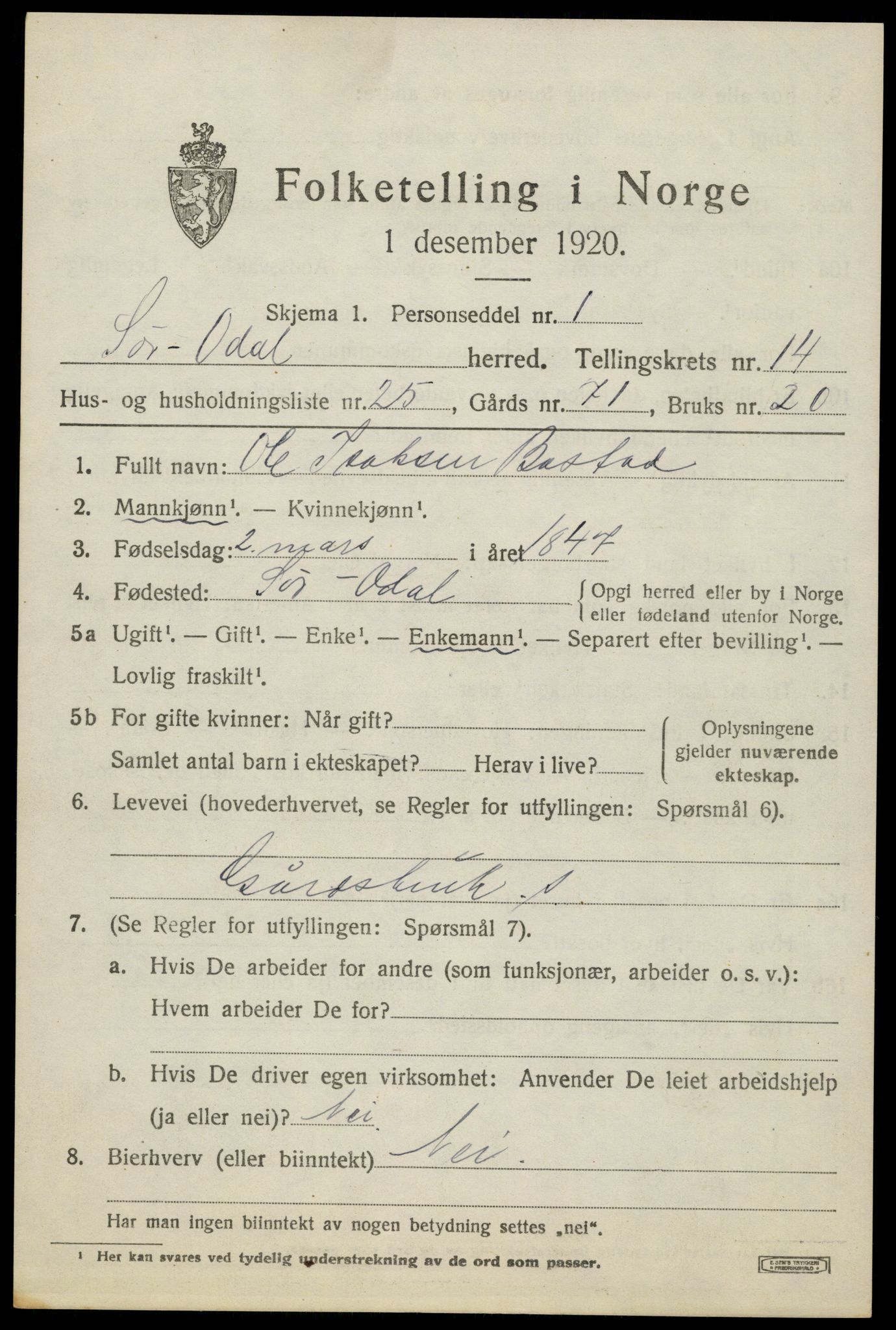 SAH, 1920 census for Sør-Odal, 1920, p. 14215