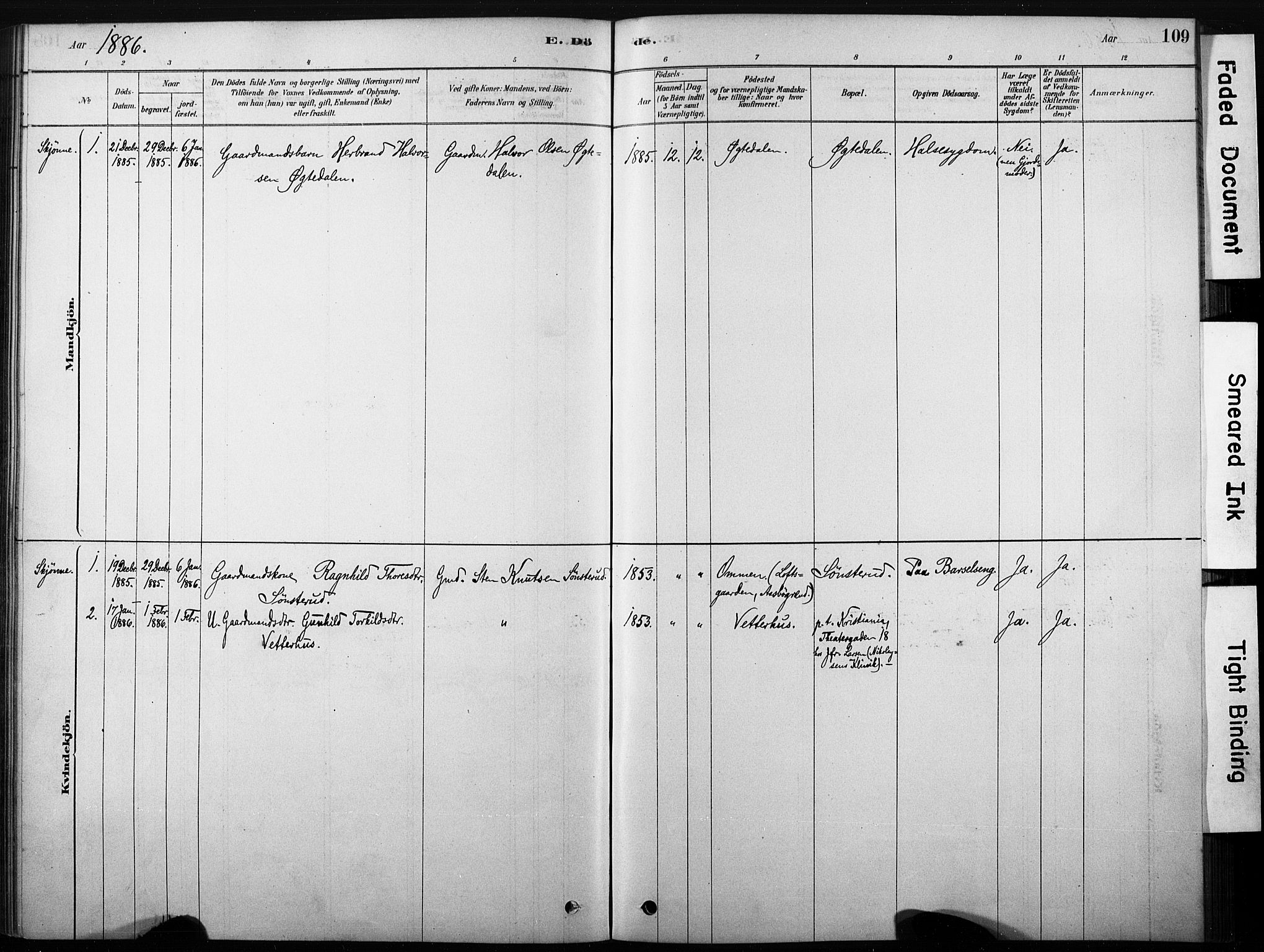 Nore kirkebøker, SAKO/A-238/F/Fb/L0001: Parish register (official) no. II 1, 1878-1886, p. 109