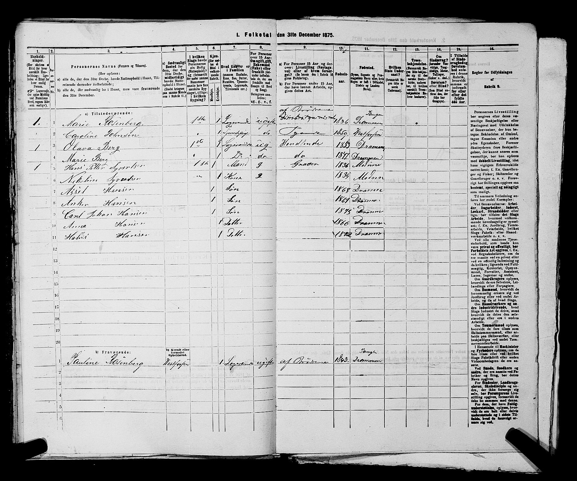 SAKO, 1875 census for 0602 Drammen, 1875, p. 1756
