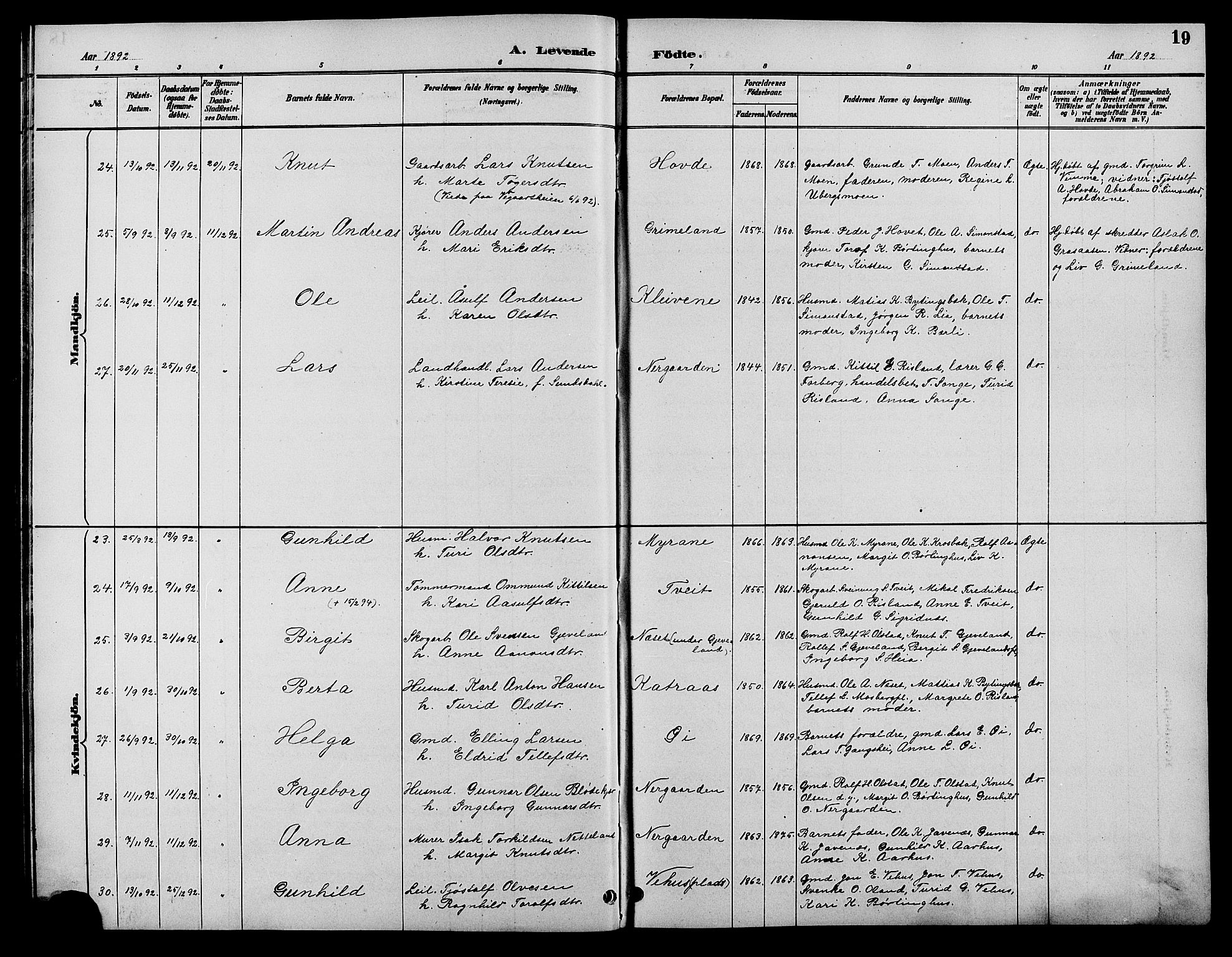 Åmli sokneprestkontor, SAK/1111-0050/F/Fb/Fbc/L0004: Parish register (copy) no. B 4, 1889-1902, p. 19