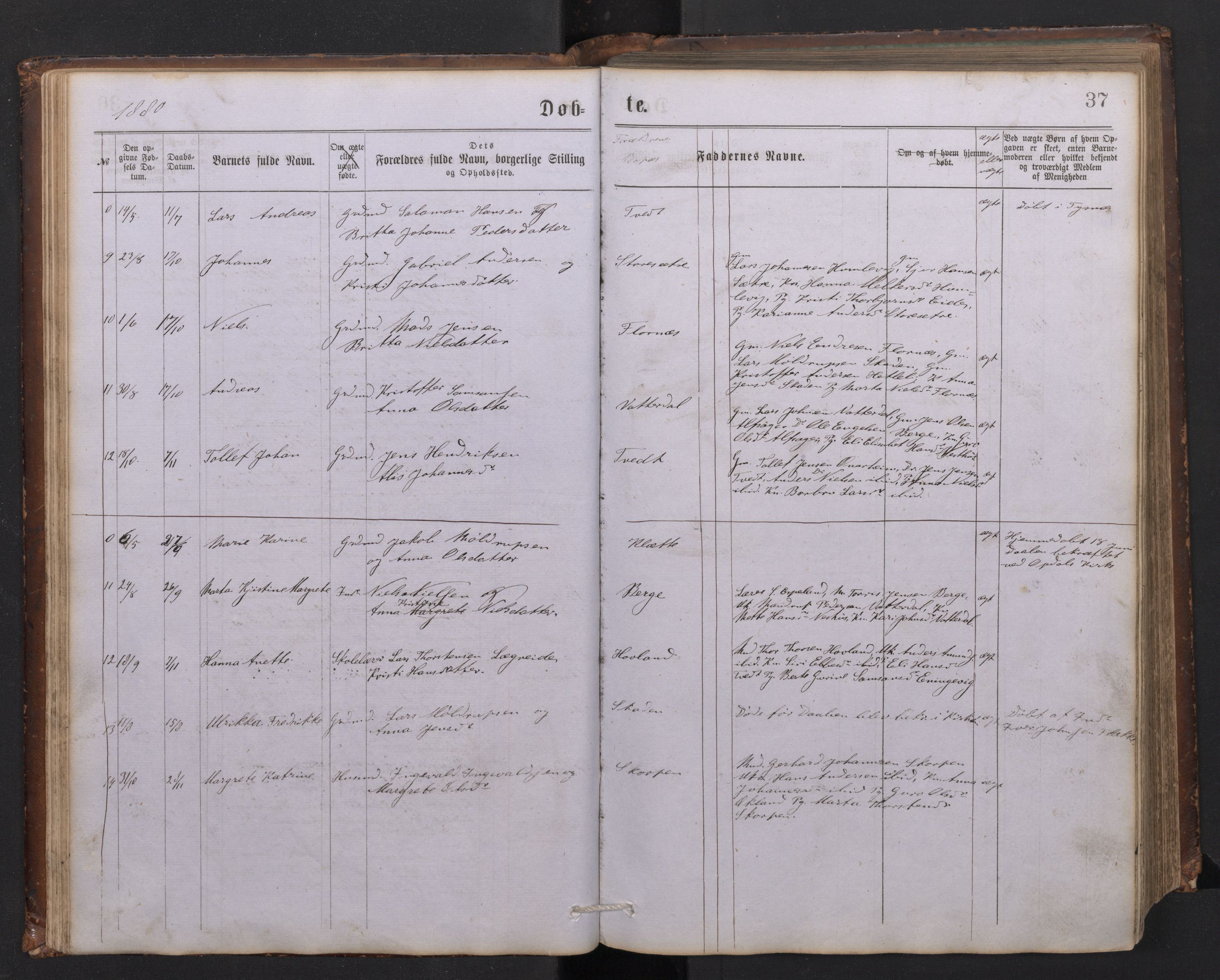 Tysnes sokneprestembete, SAB/A-78601/H/Hab: Parish register (copy) no. C 1, 1873-1895, p. 36b-37a