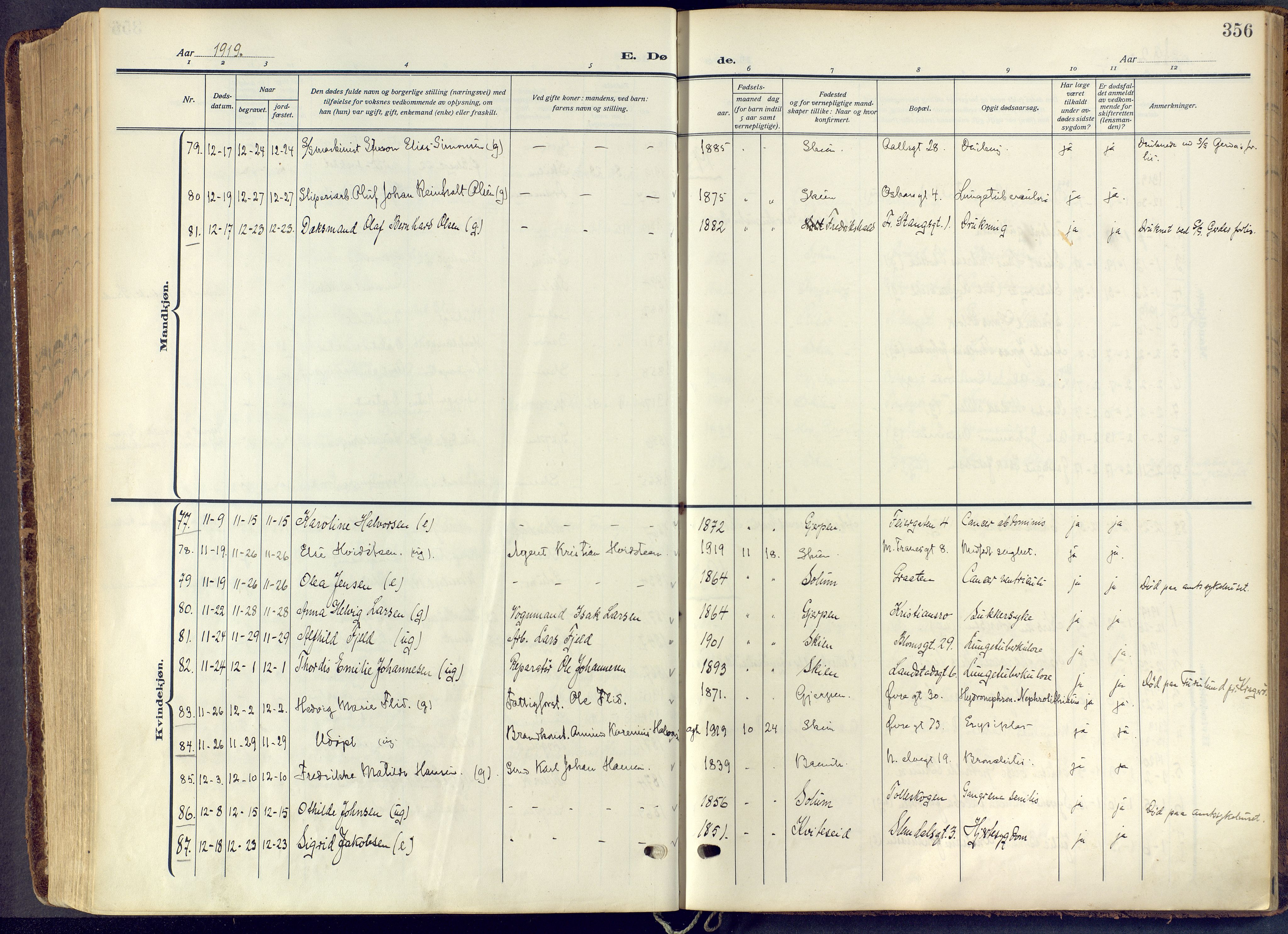 Skien kirkebøker, AV/SAKO-A-302/F/Fa/L0013: Parish register (official) no. 13, 1915-1921, p. 356
