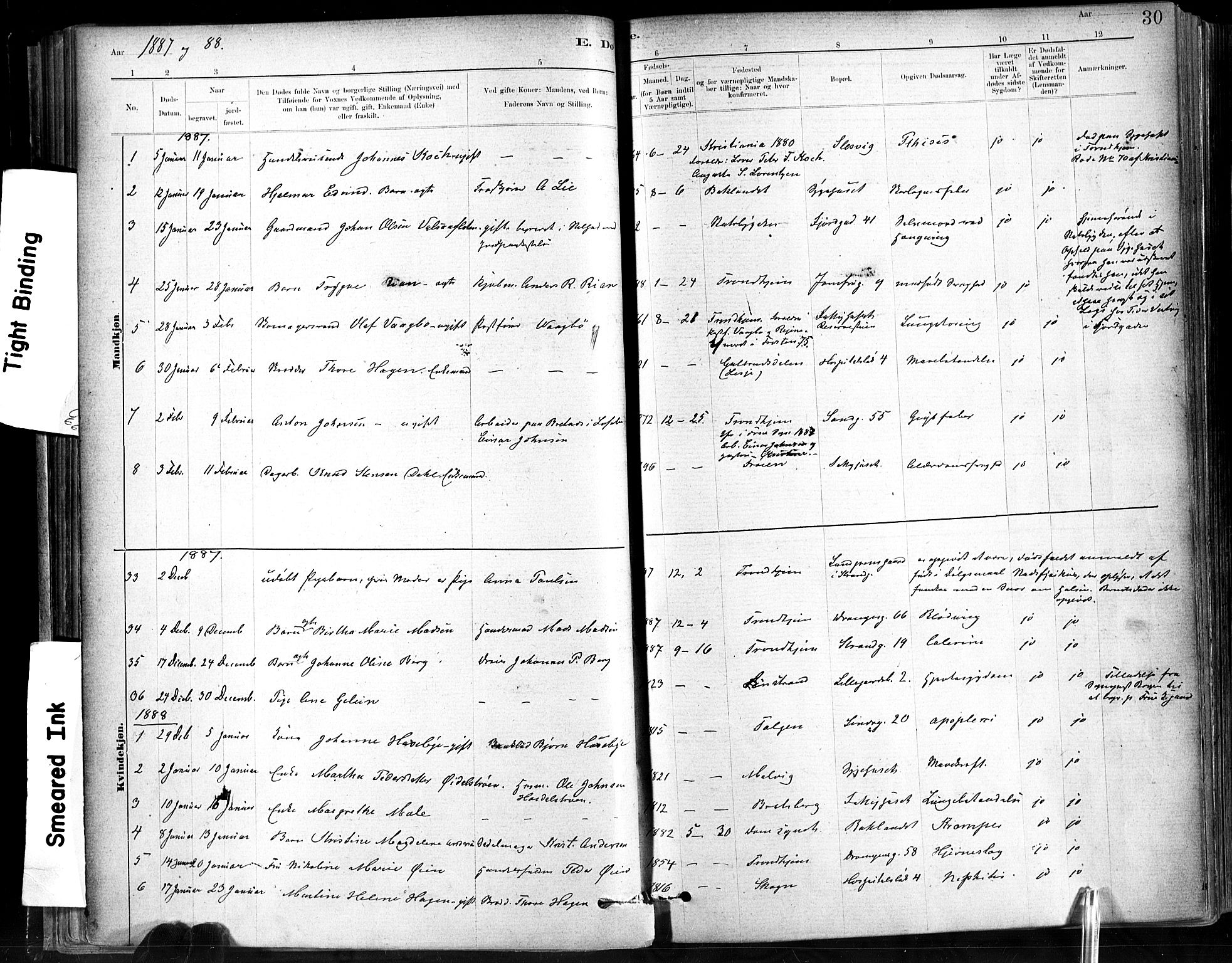Ministerialprotokoller, klokkerbøker og fødselsregistre - Sør-Trøndelag, SAT/A-1456/602/L0120: Parish register (official) no. 602A18, 1880-1913, p. 30