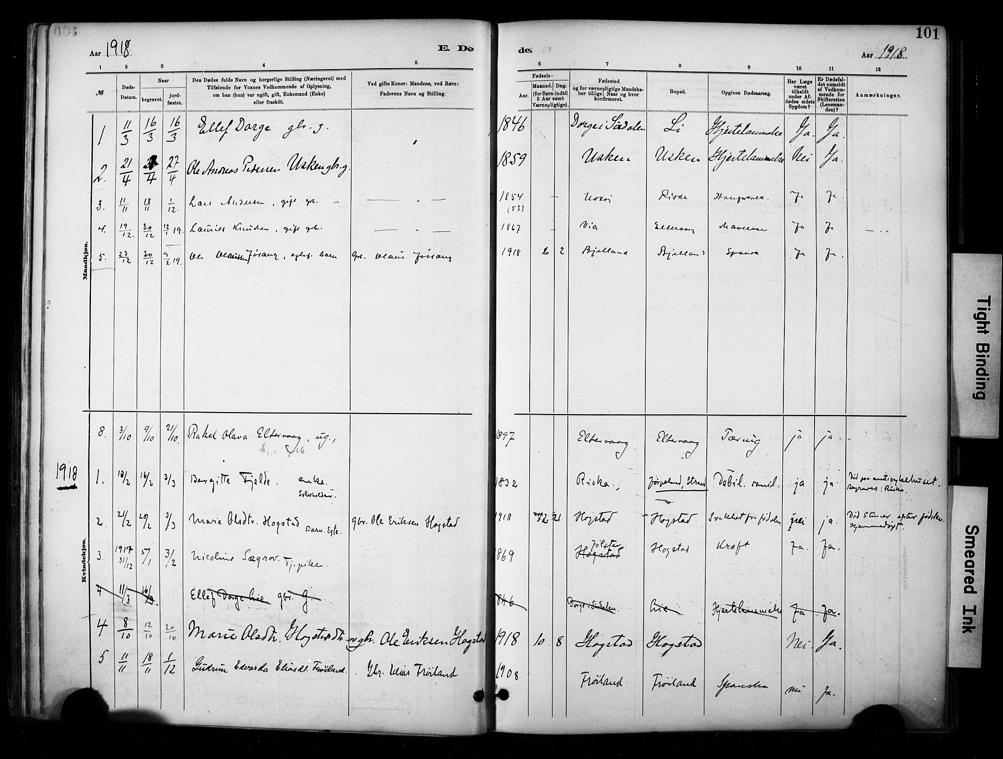 Hetland sokneprestkontor, AV/SAST-A-101826/30/30BA/L0010: Parish register (official) no. A 10, 1882-1925, p. 101