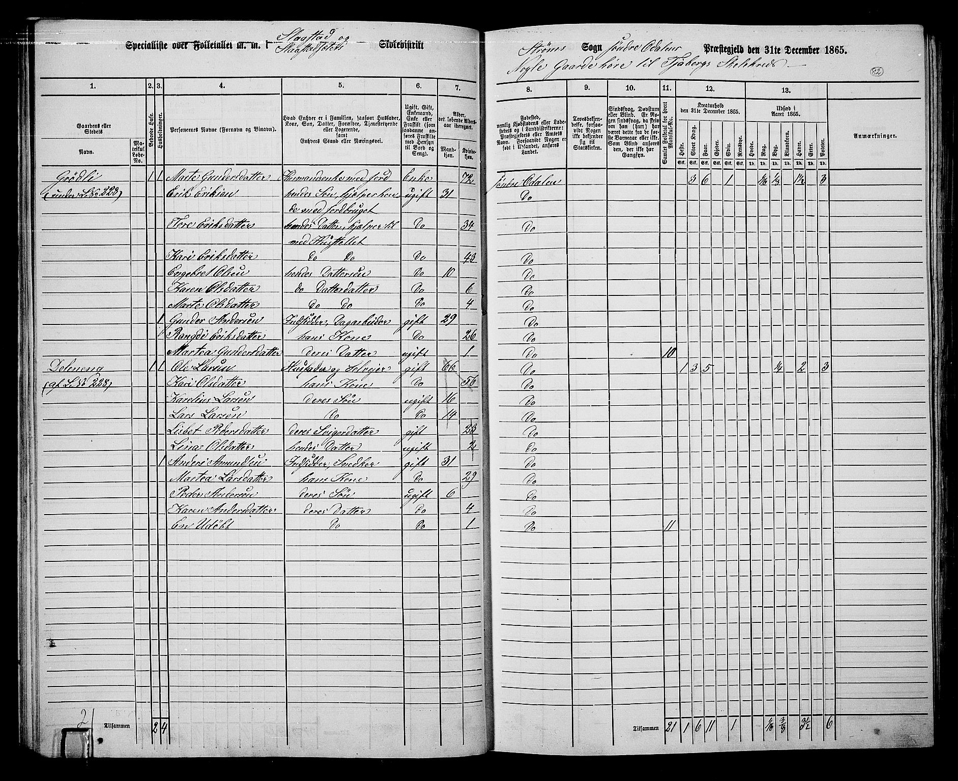 RA, 1865 census for Sør-Odal, 1865, p. 72