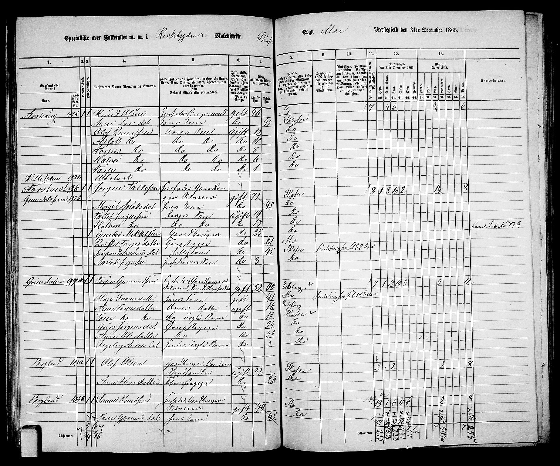 RA, 1865 census for Mo, 1865, p. 74