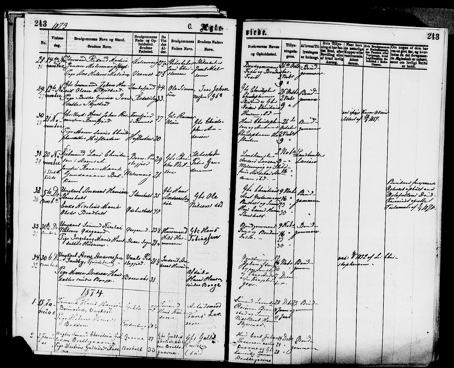 Stokke kirkebøker, SAKO/A-320/F/Fa/L0009: Parish register (official) no. I 9, 1872-1883, p. 243