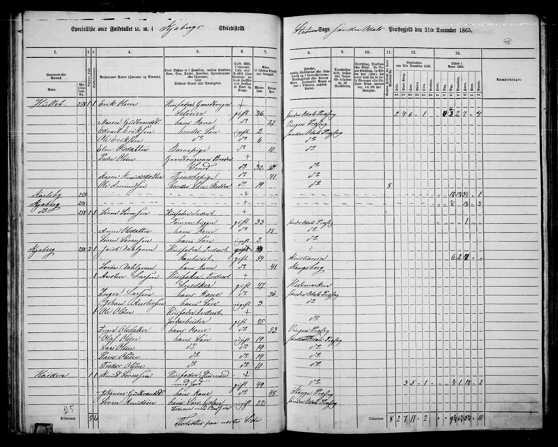 RA, 1865 census for Sør-Odal, 1865, p. 41