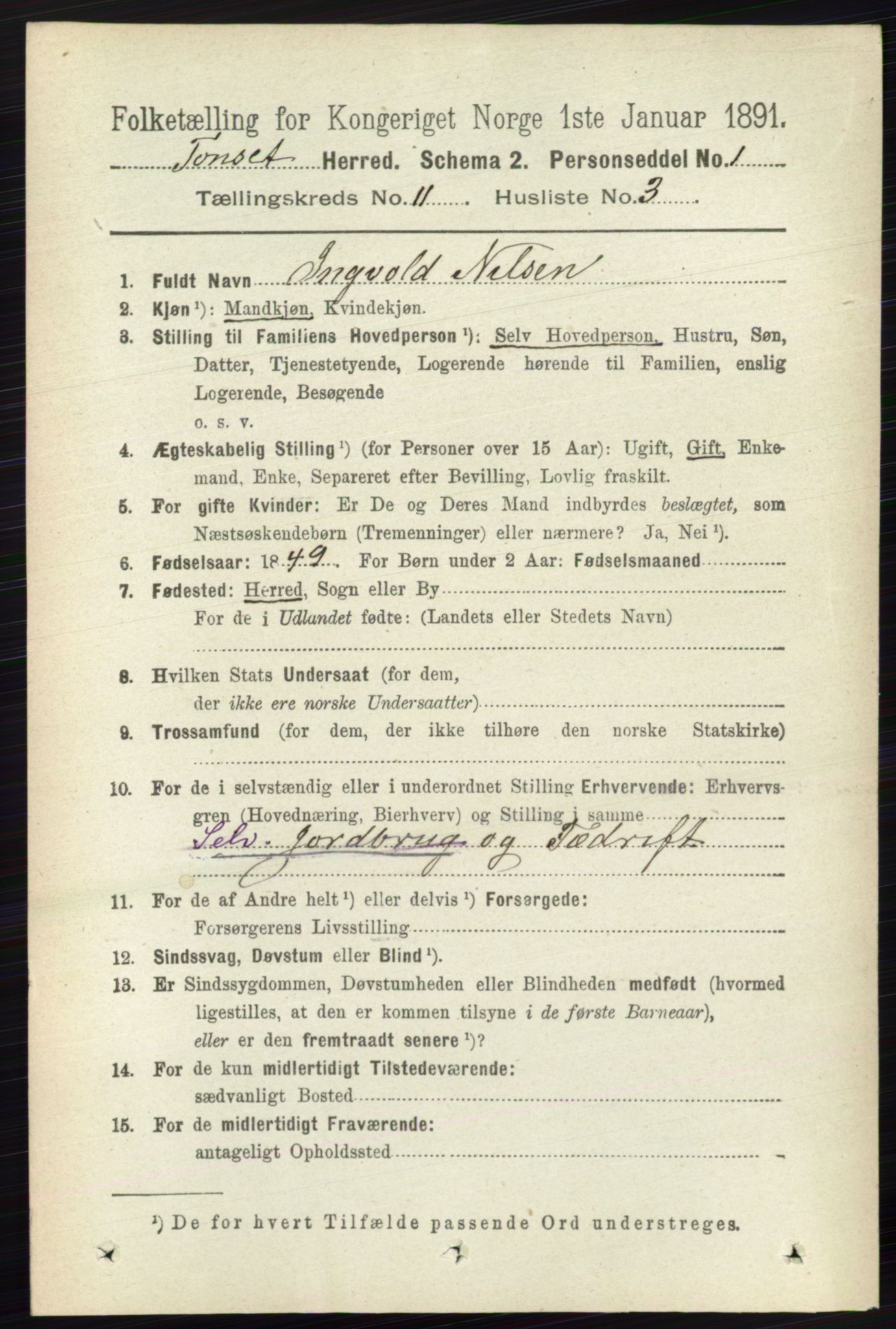 RA, 1891 census for 0437 Tynset, 1891, p. 3019