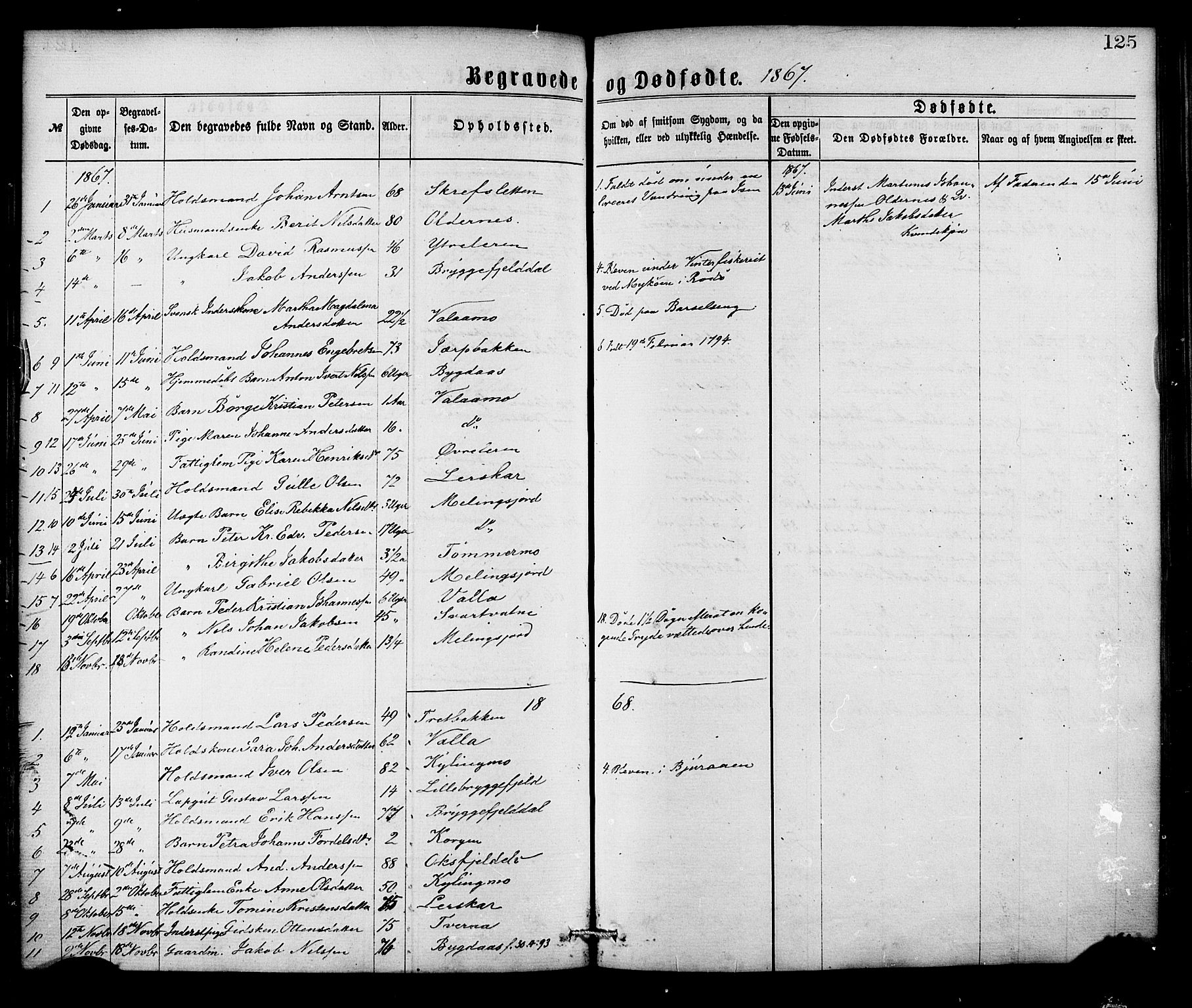 Ministerialprotokoller, klokkerbøker og fødselsregistre - Nordland, SAT/A-1459/826/L0378: Parish register (official) no. 826A01, 1865-1878, p. 125