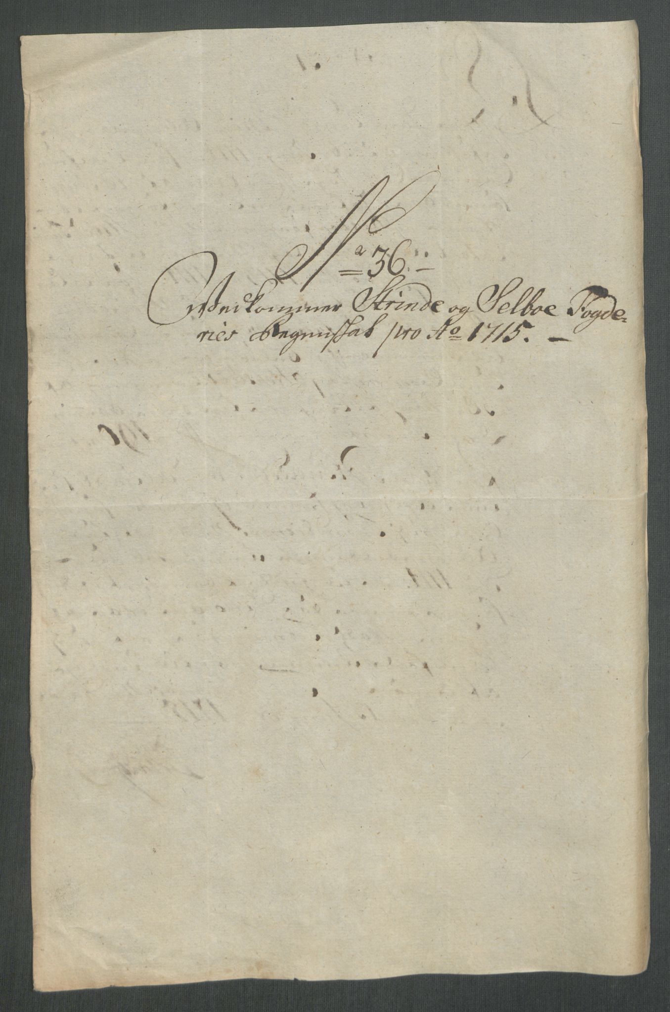 Rentekammeret inntil 1814, Reviderte regnskaper, Fogderegnskap, AV/RA-EA-4092/R61/L4115: Fogderegnskap Strinda og Selbu, 1715-1716, p. 233