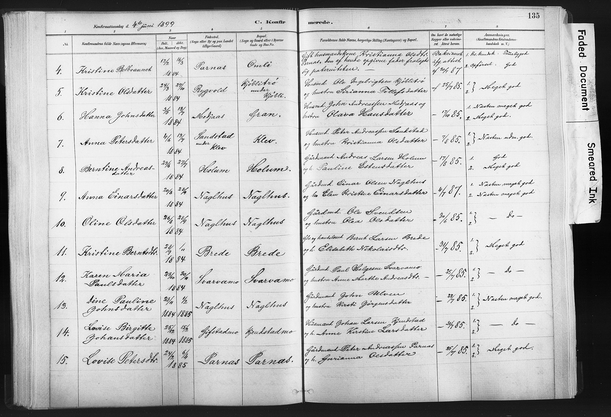 Ministerialprotokoller, klokkerbøker og fødselsregistre - Nord-Trøndelag, AV/SAT-A-1458/749/L0474: Parish register (official) no. 749A08, 1887-1903, p. 135