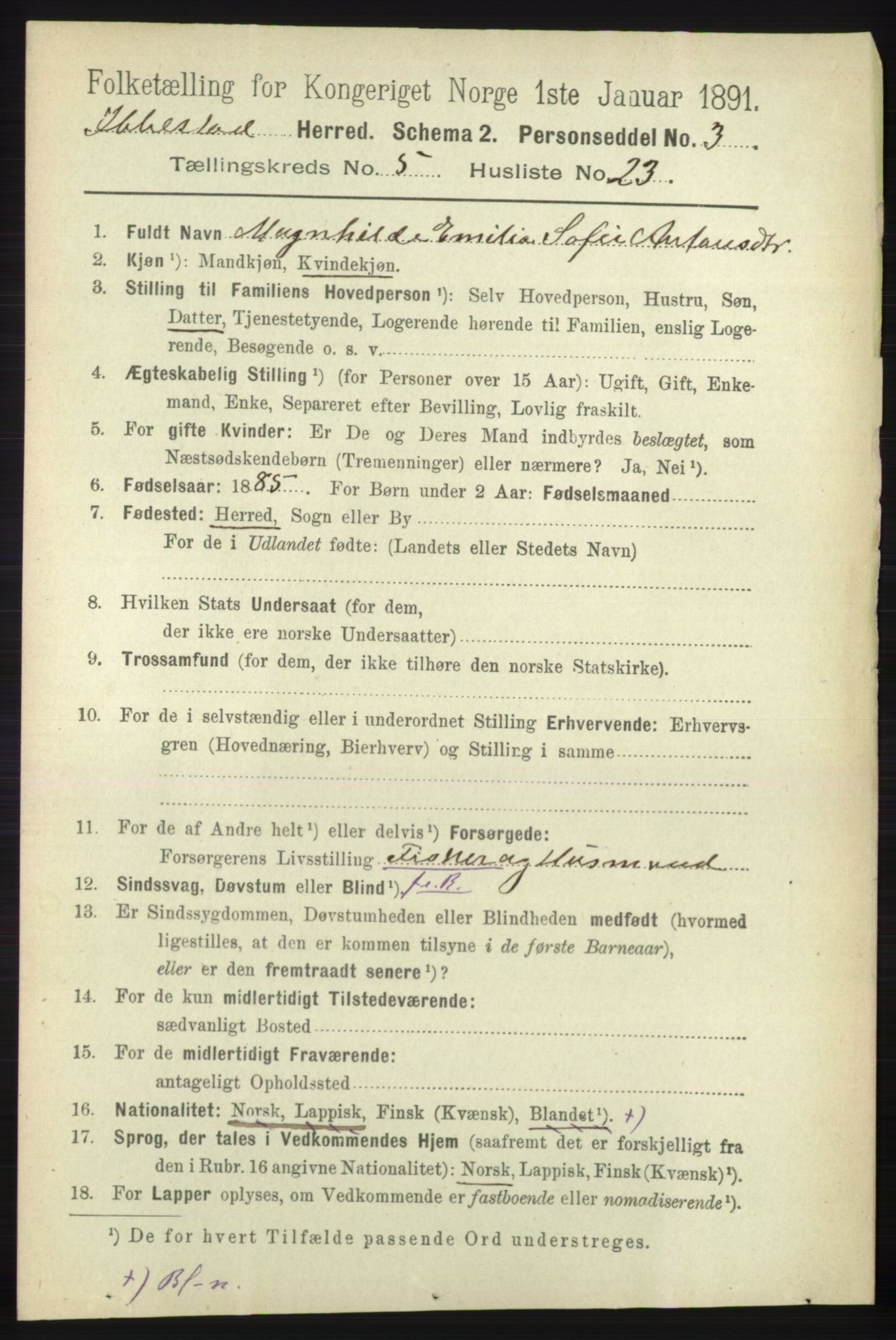 RA, 1891 census for 1917 Ibestad, 1891, p. 3076