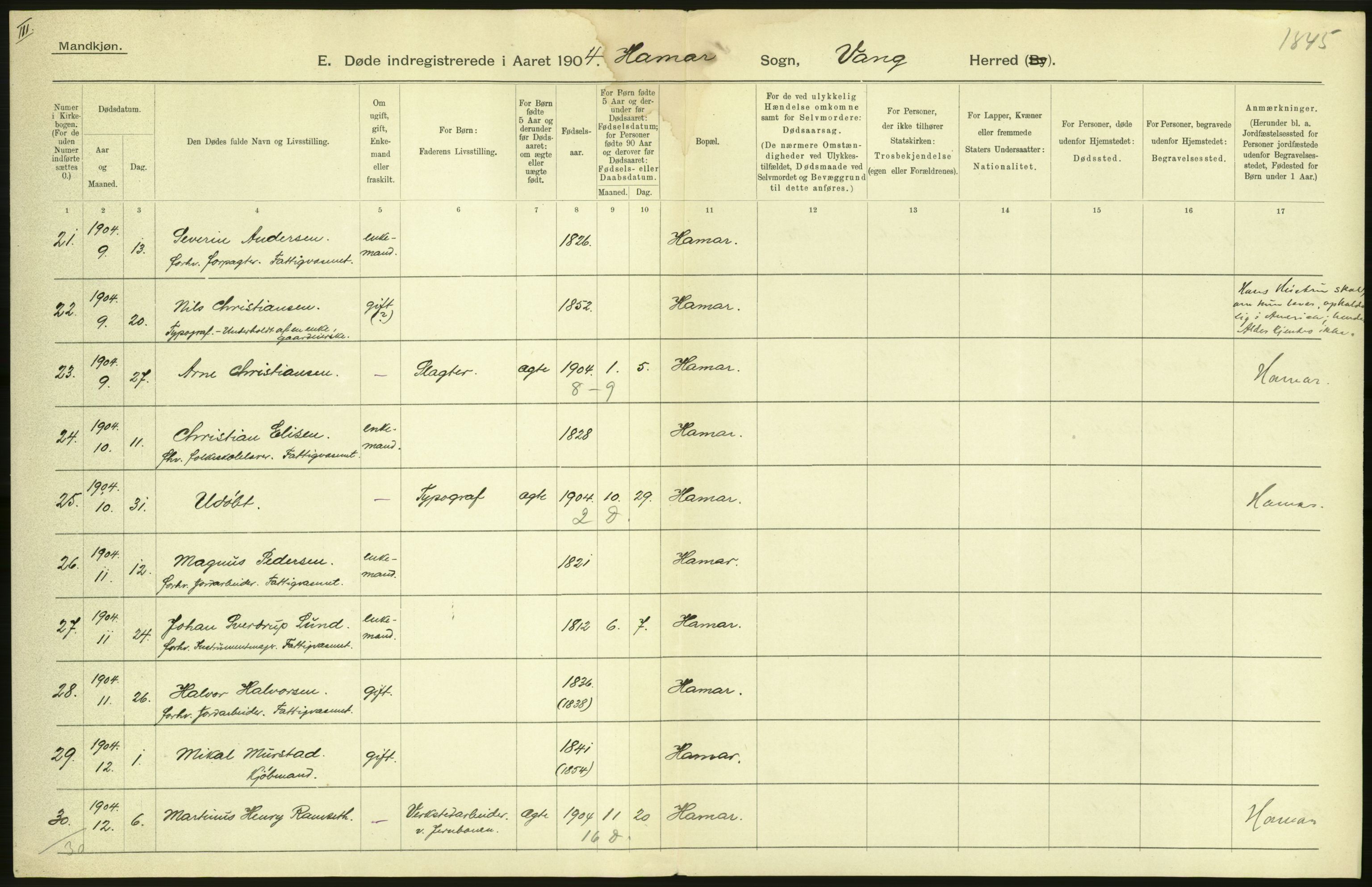 Statistisk sentralbyrå, Sosiodemografiske emner, Befolkning, AV/RA-S-2228/D/Df/Dfa/Dfab/L0005: Hedemarkens amt: Fødte, gifte, døde, 1904, p. 42