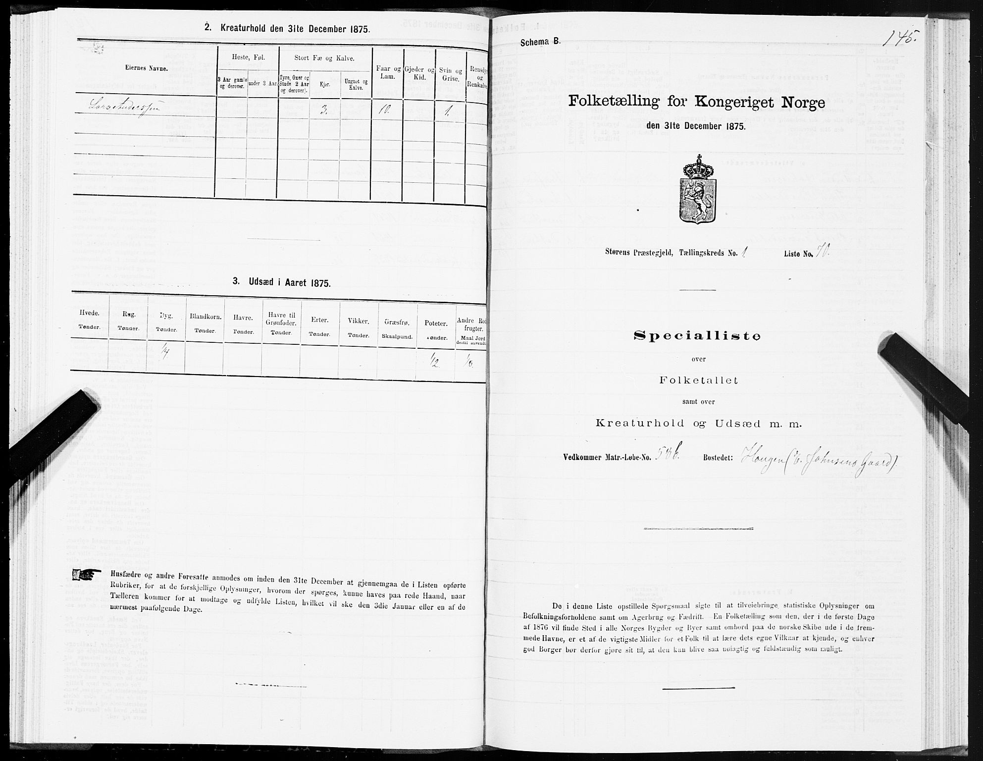 SAT, 1875 census for 1648P Støren, 1875, p. 7145