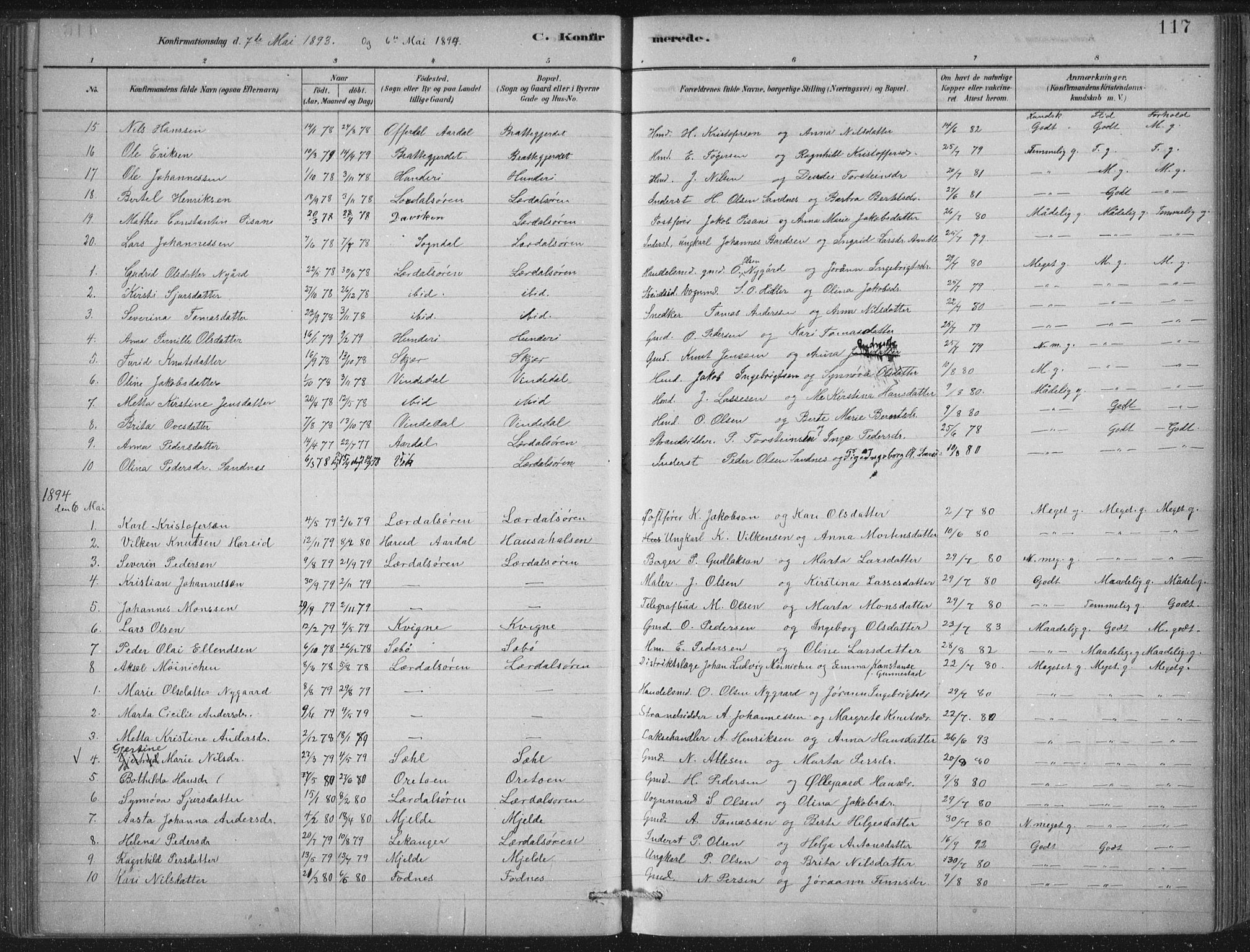 Lærdal sokneprestembete, SAB/A-81201: Parish register (official) no. D  1, 1878-1908, p. 117