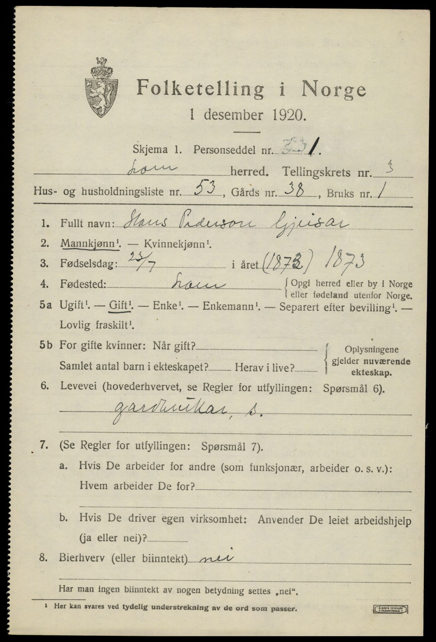 SAH, 1920 census for Lom, 1920, p. 2556