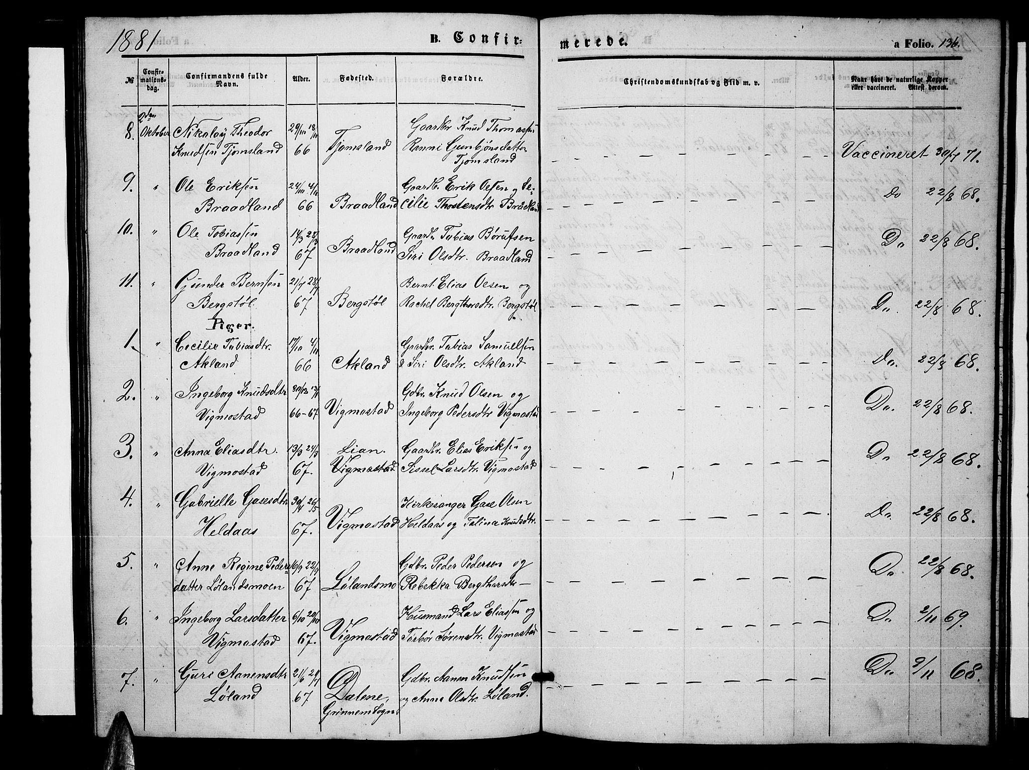 Nord-Audnedal sokneprestkontor, AV/SAK-1111-0032/F/Fb/Fbb/L0002: Parish register (copy) no. B 2, 1859-1882, p. 136