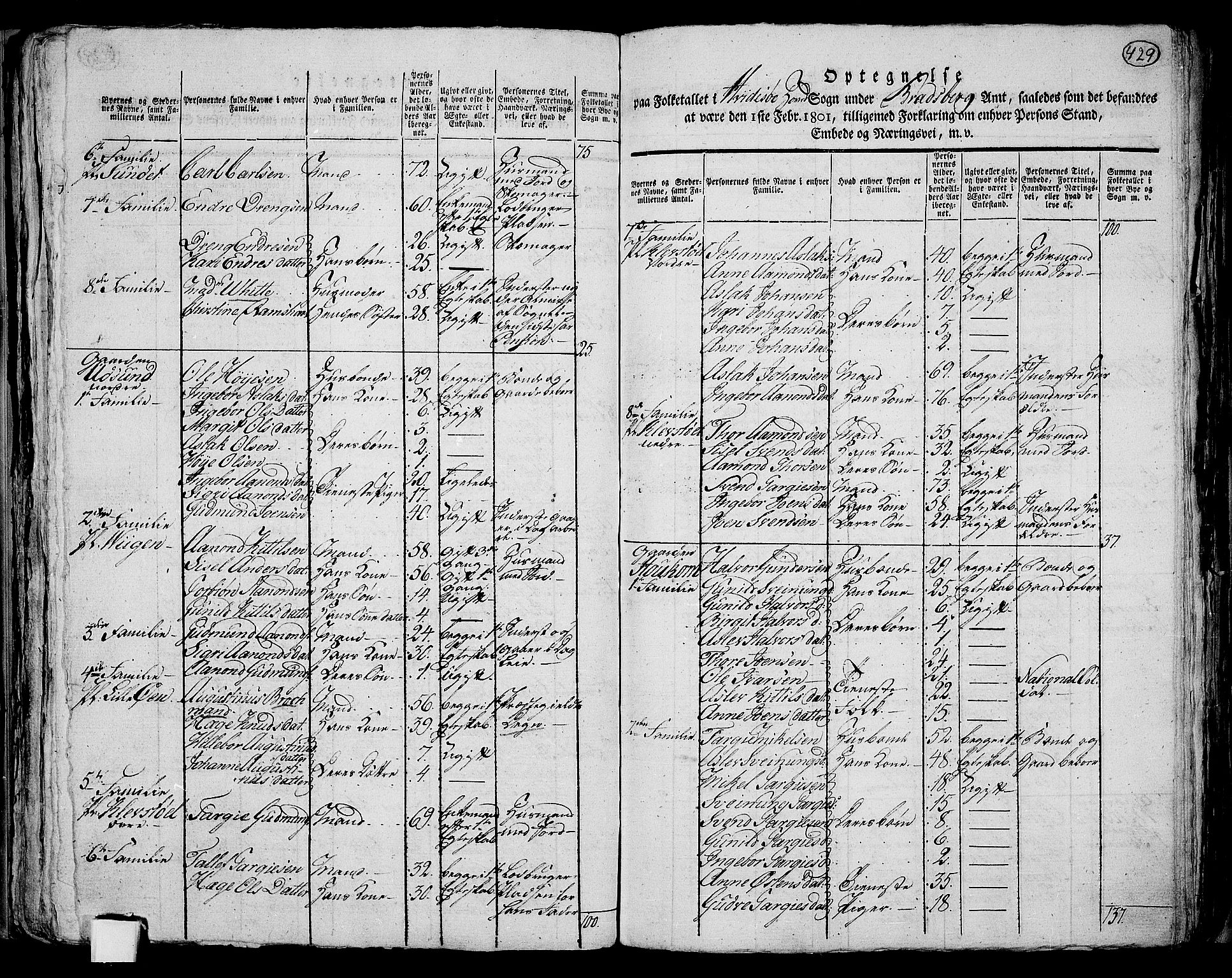 RA, 1801 census for 0829P Kviteseid, 1801, p. 428b-429a