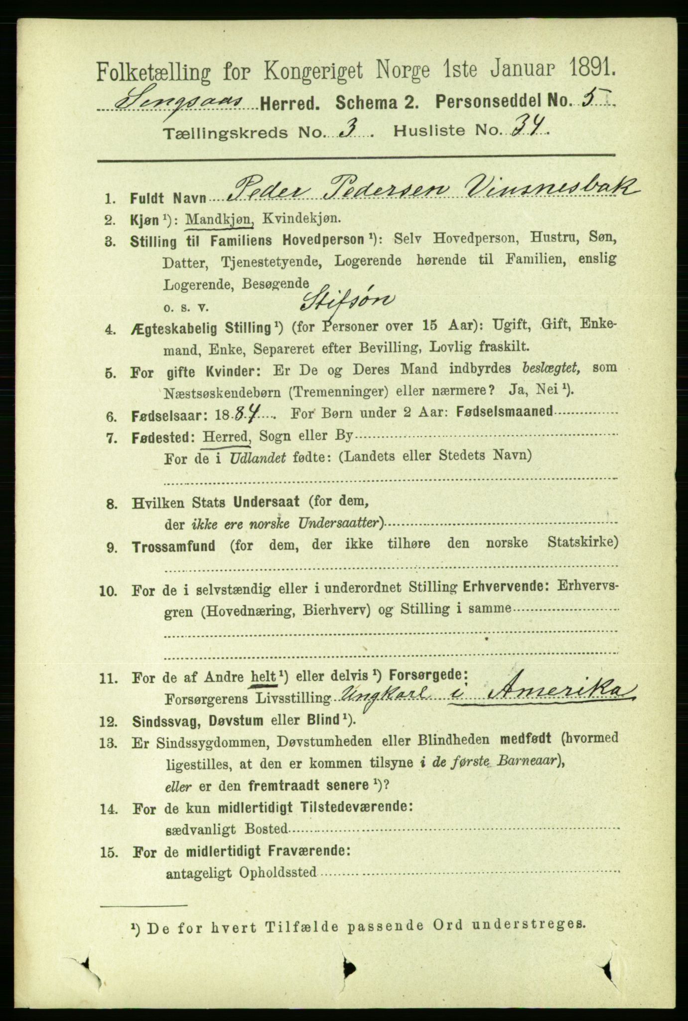 RA, 1891 census for 1646 Singsås, 1891, p. 808