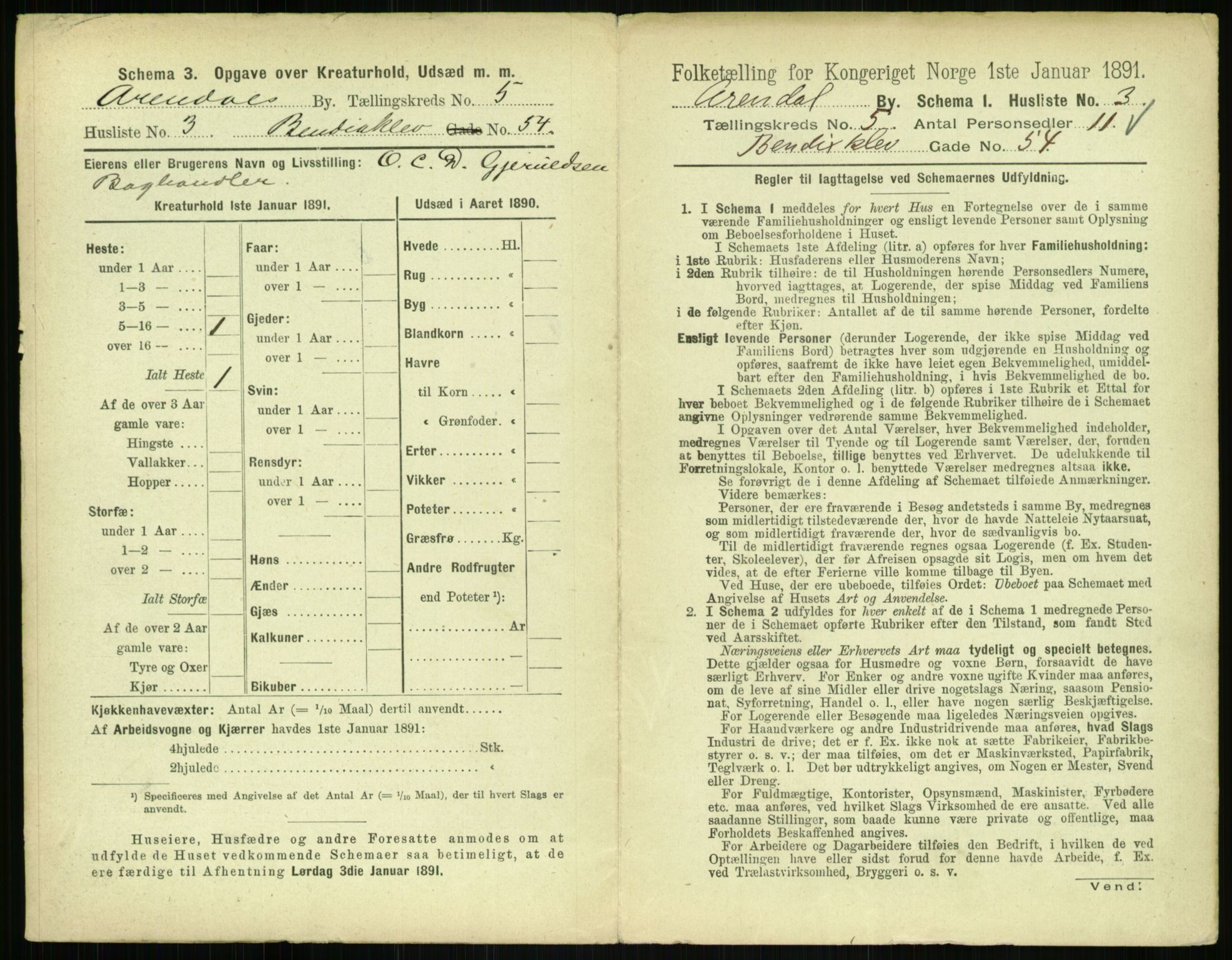 RA, 1891 census for 0903 Arendal, 1891, p. 216