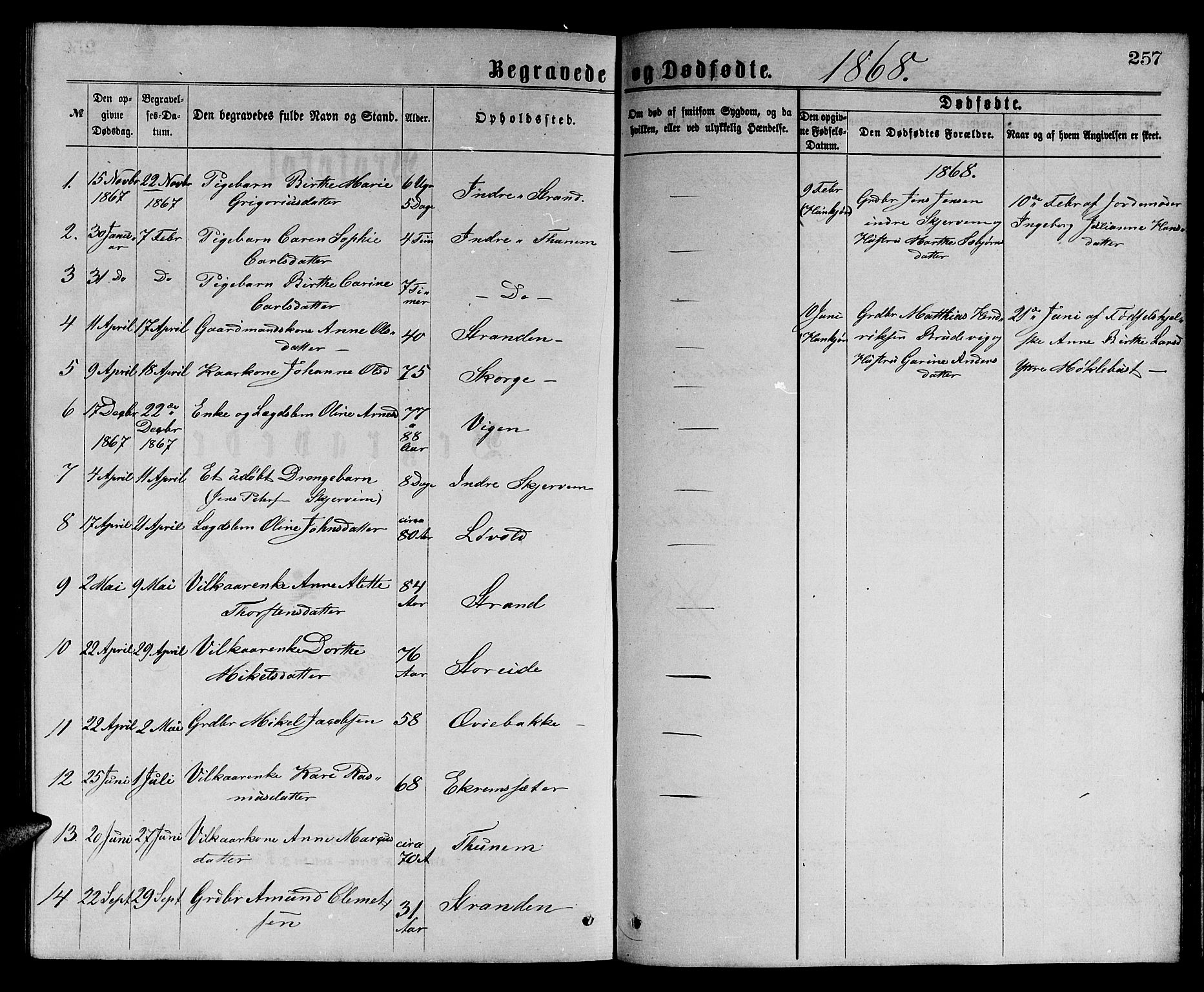 Ministerialprotokoller, klokkerbøker og fødselsregistre - Møre og Romsdal, SAT/A-1454/501/L0016: Parish register (copy) no. 501C02, 1868-1884, p. 257