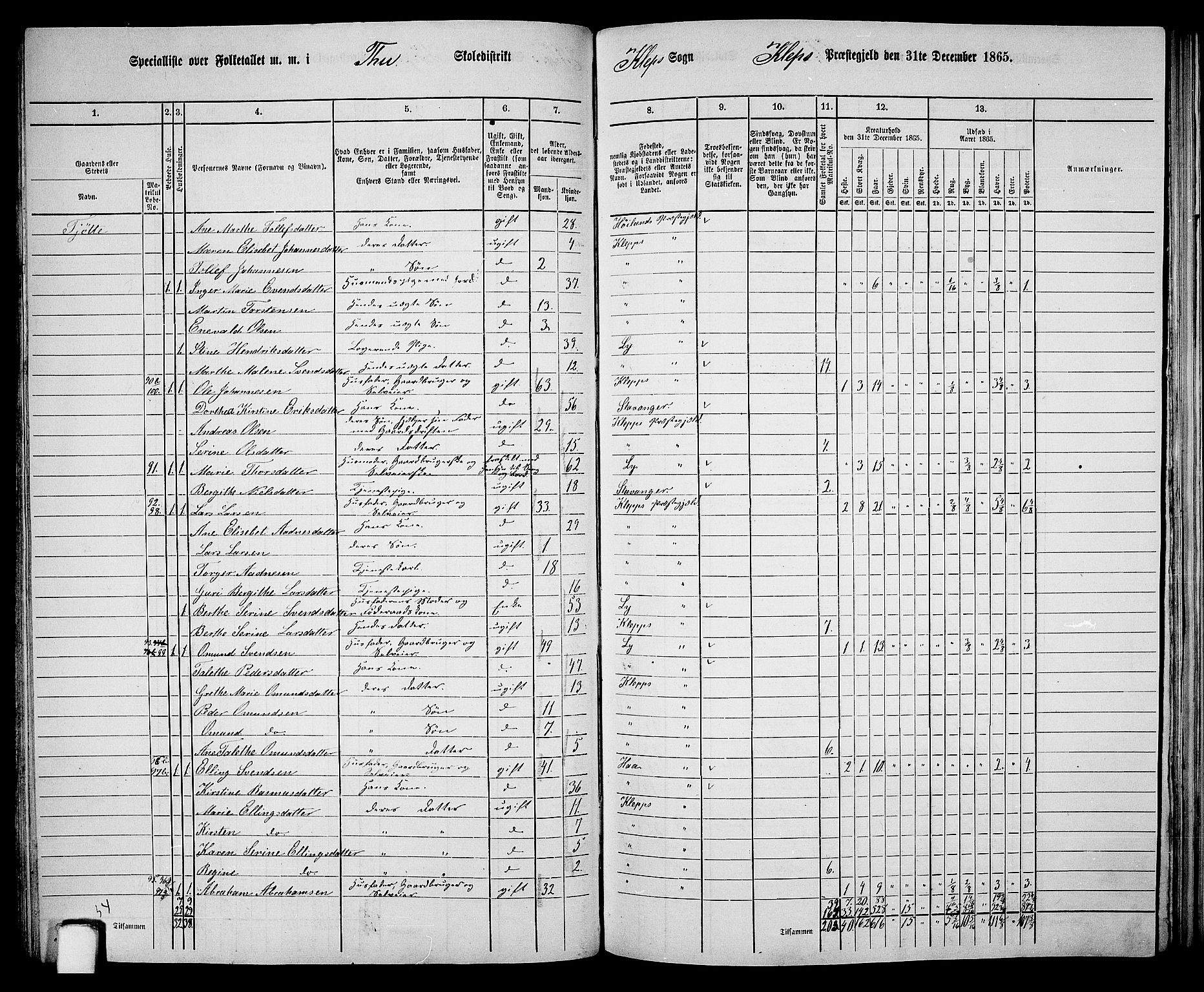 RA, 1865 census for Klepp, 1865, p. 47