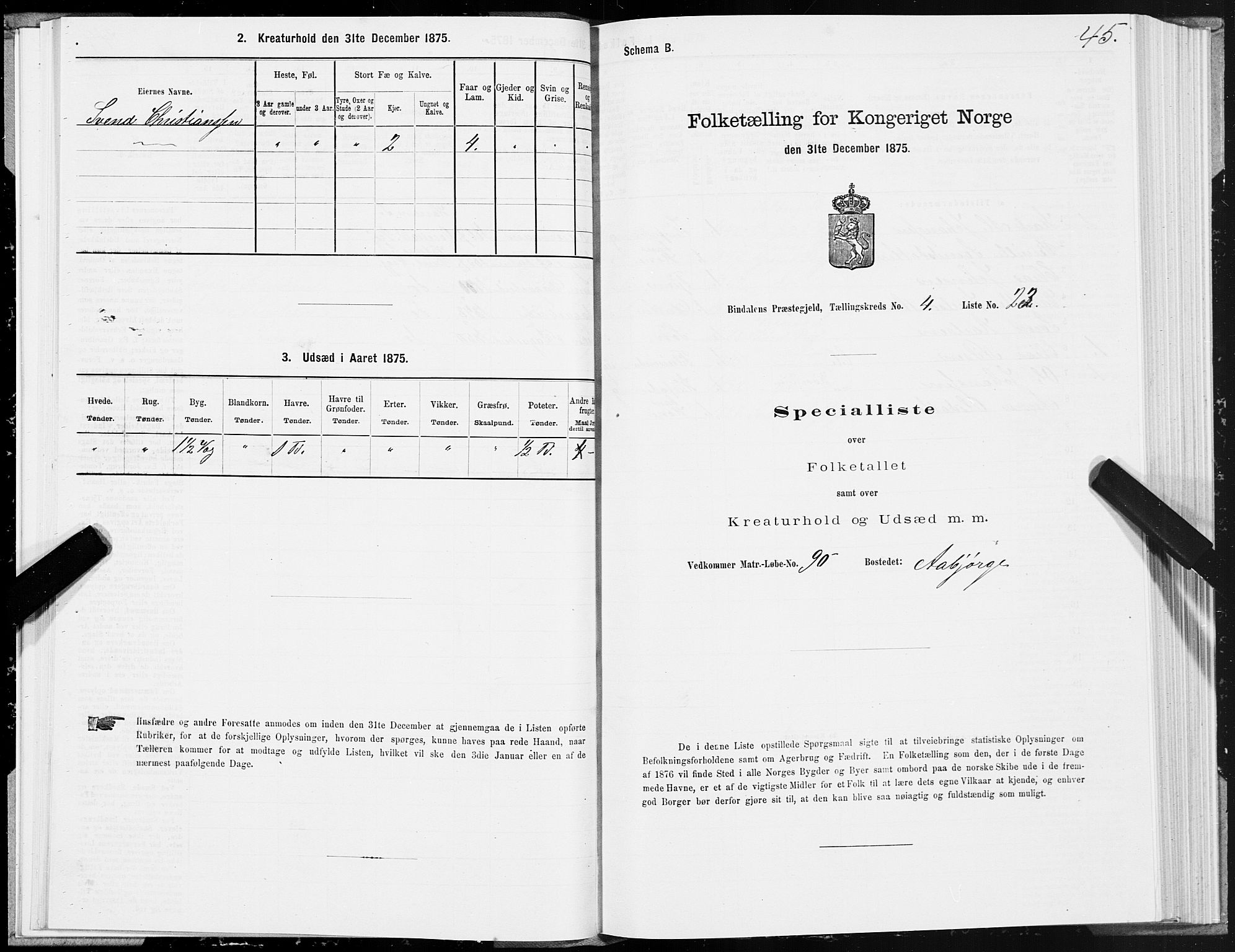 SAT, 1875 census for 1811P Bindal, 1875, p. 2045