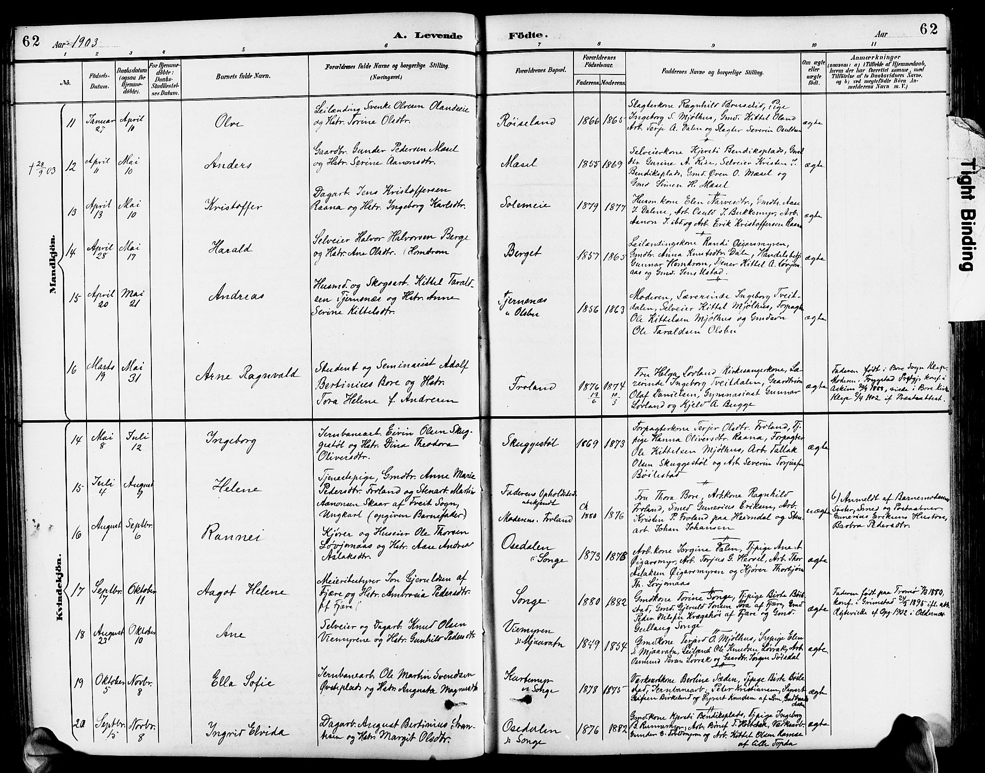 Froland sokneprestkontor, AV/SAK-1111-0013/F/Fb/L0010: Parish register (copy) no. B 10, 1893-1920, p. 62